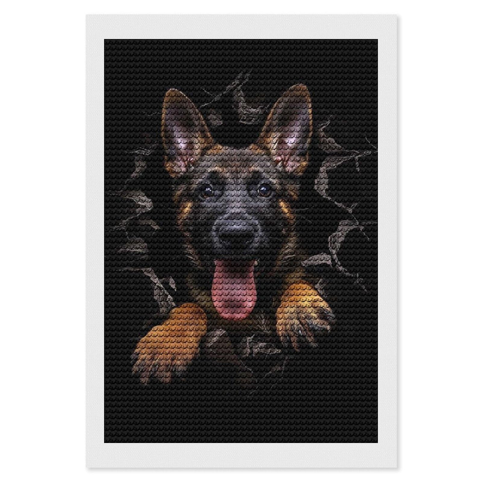Junmoney Belgian Malinois Diamond Art Kit 8"x12", Neat Printed Canvas, Finish and Display, Relaxing DIY Hobby, Living Room Decor