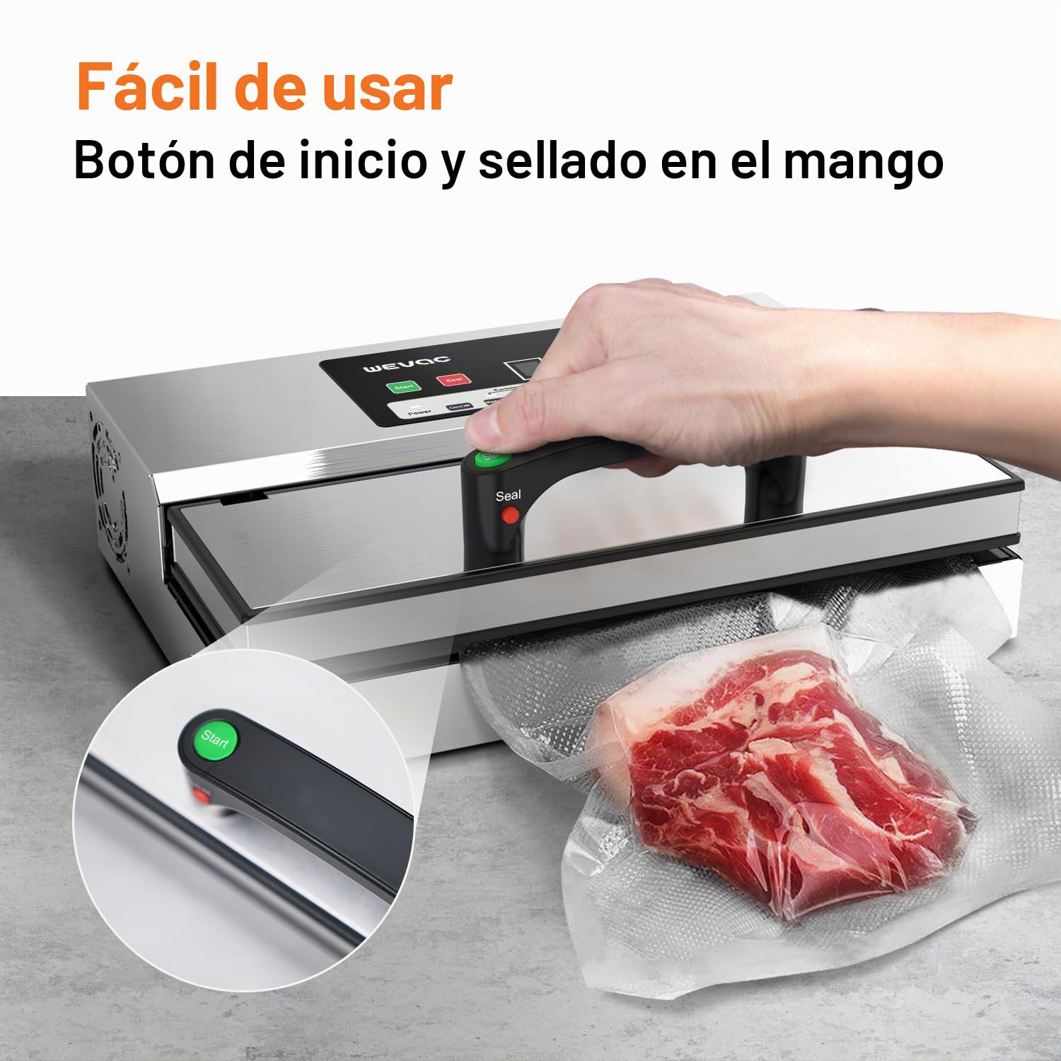 Wevac Maquina Vacio Alimentos Profesional, Potencia de Succión de 16 Litros/min, Costura de 30 cm, Fuerza de Vacío Regulable, Sellador al Vacío de Acero Inoxidable con Depósito de Líquidos