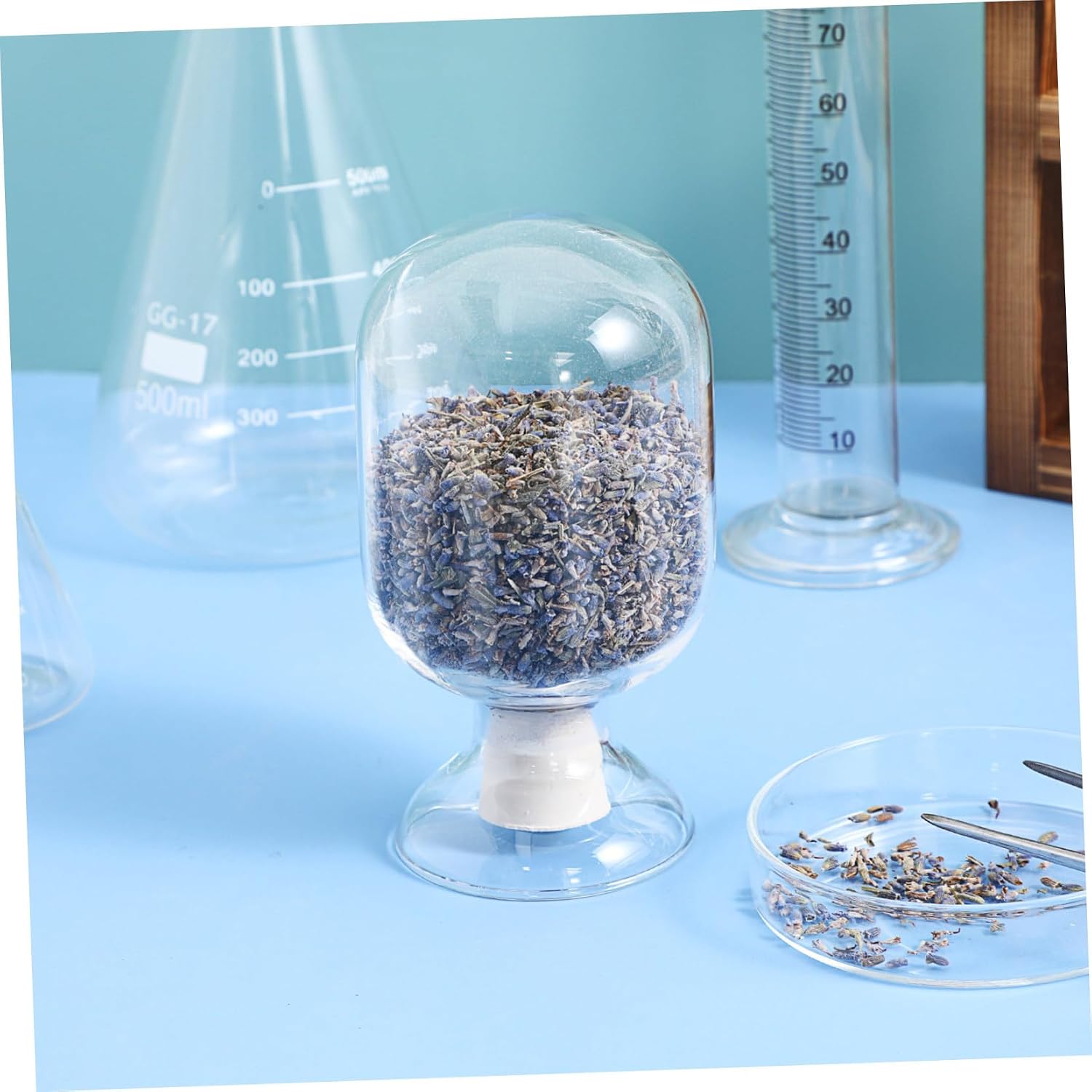 Cabilock Transparent Glass Match Holder Bottle with Stopper Round Display Jar for Experiments and Science Study Lightweight for Home and Laboratory Use