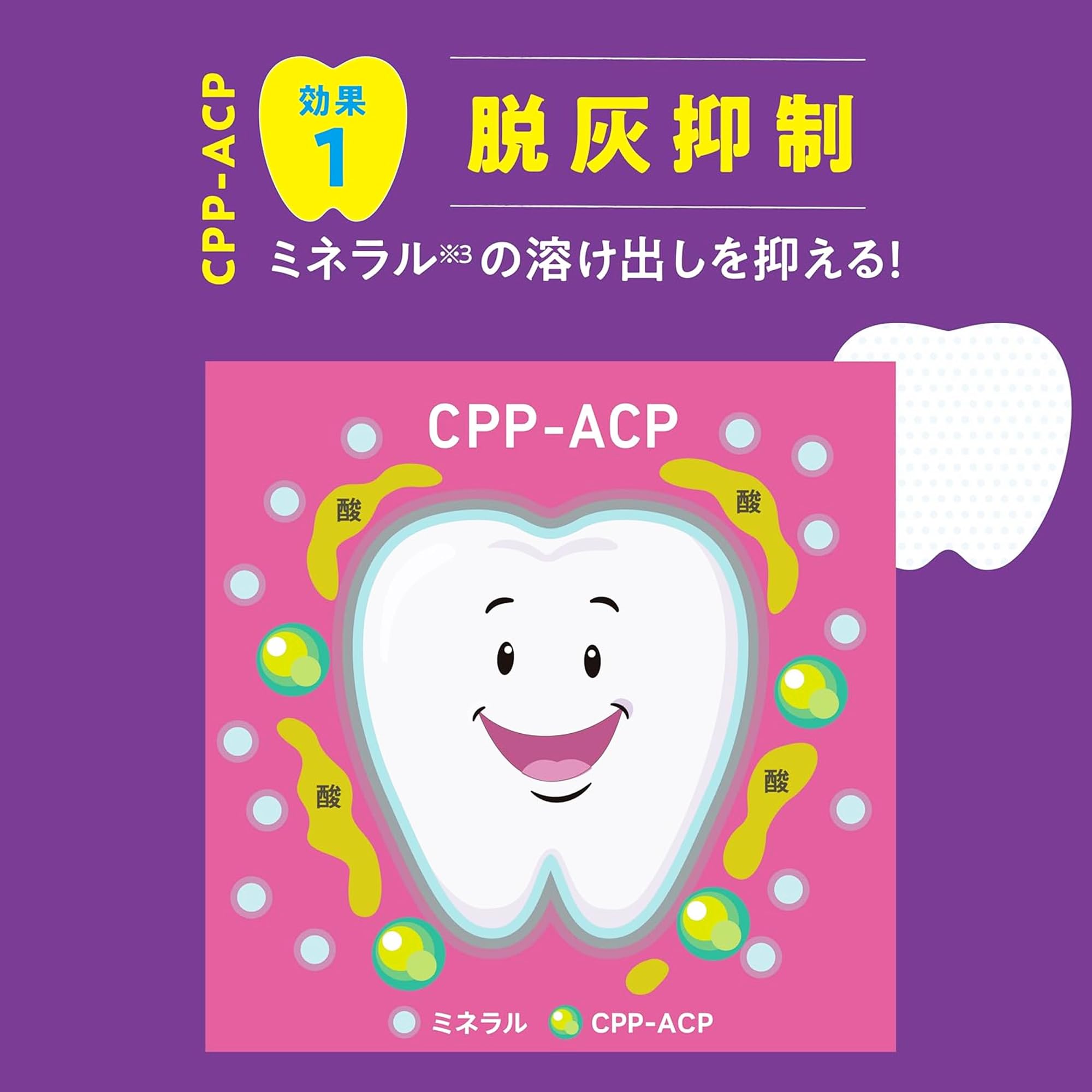 Amazon | リカルデント ジューシーグレープミント BIGボトル ガム