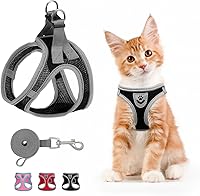 SCENEREAL Escape Proof Cat Harness & Leash Set - Adjustable Breathable Air Mesh Vest for Small Large Cats, Reflective Walking Gear, Black S