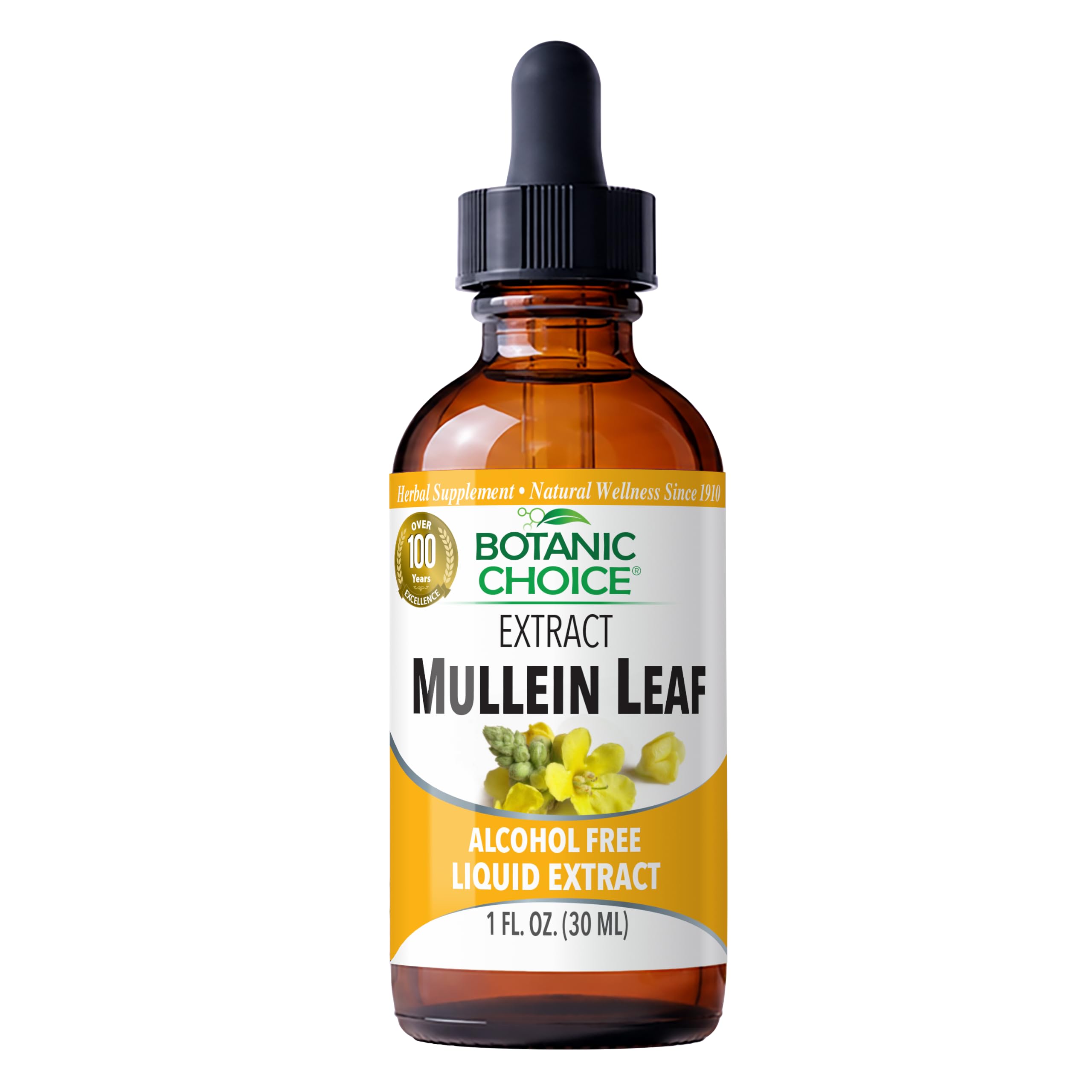 Botanic Choice Mullein Leaf Liquid Extract Alcohol Free 1 fl oz