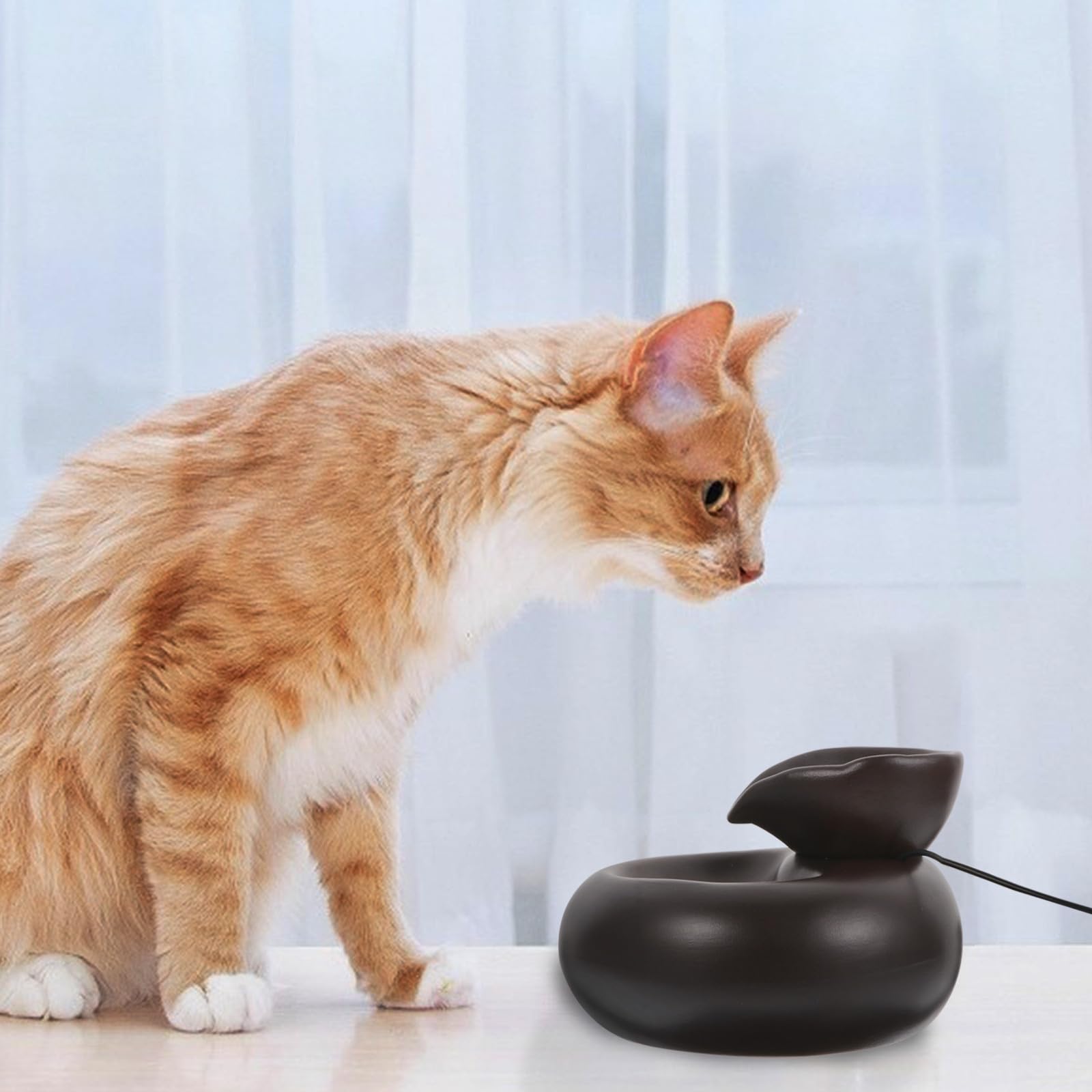 Fontanella Gatti Automatica USB Circolazione Continua, Ceramico Nero