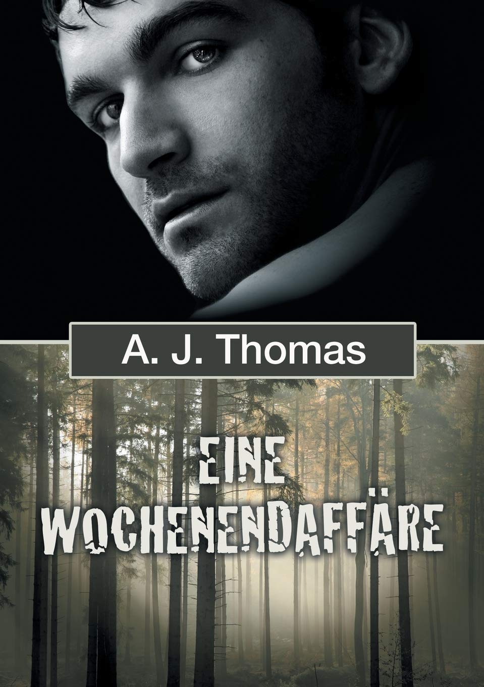 Eine Wochenendaffäre (German Edition)