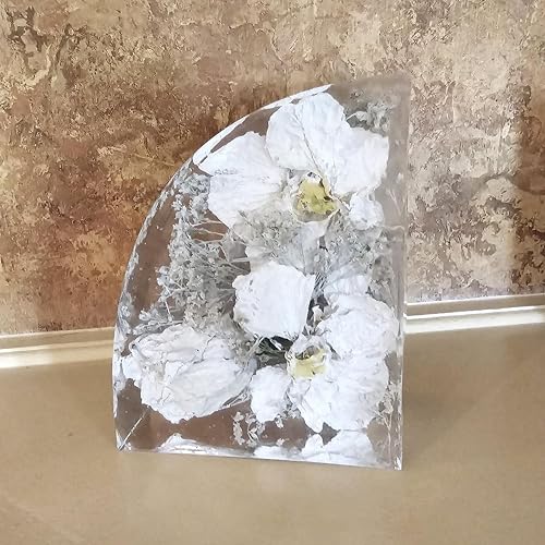 Review Image by Amazon Customer