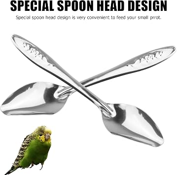 YAODHAOD 4.7 Bird Parrot Stainless Steel Metal Feeding Spoon Parrot Feeding Scoops Hand Feeding Spoons for Parrot (3PCS)