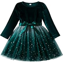 TTYAOVO Girl Long Sleeve Dress Fall Winter Princess Causal Dresses