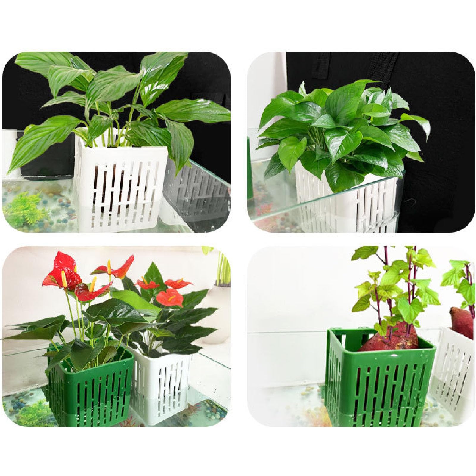 Fish Tank Plant Holder | 4 Holes Aquarium Plant Holder, Water Plant Pot, Aquarium Planter Cups for Emersed Plants, Fish Tank Decorations for Live Fish Shrimp