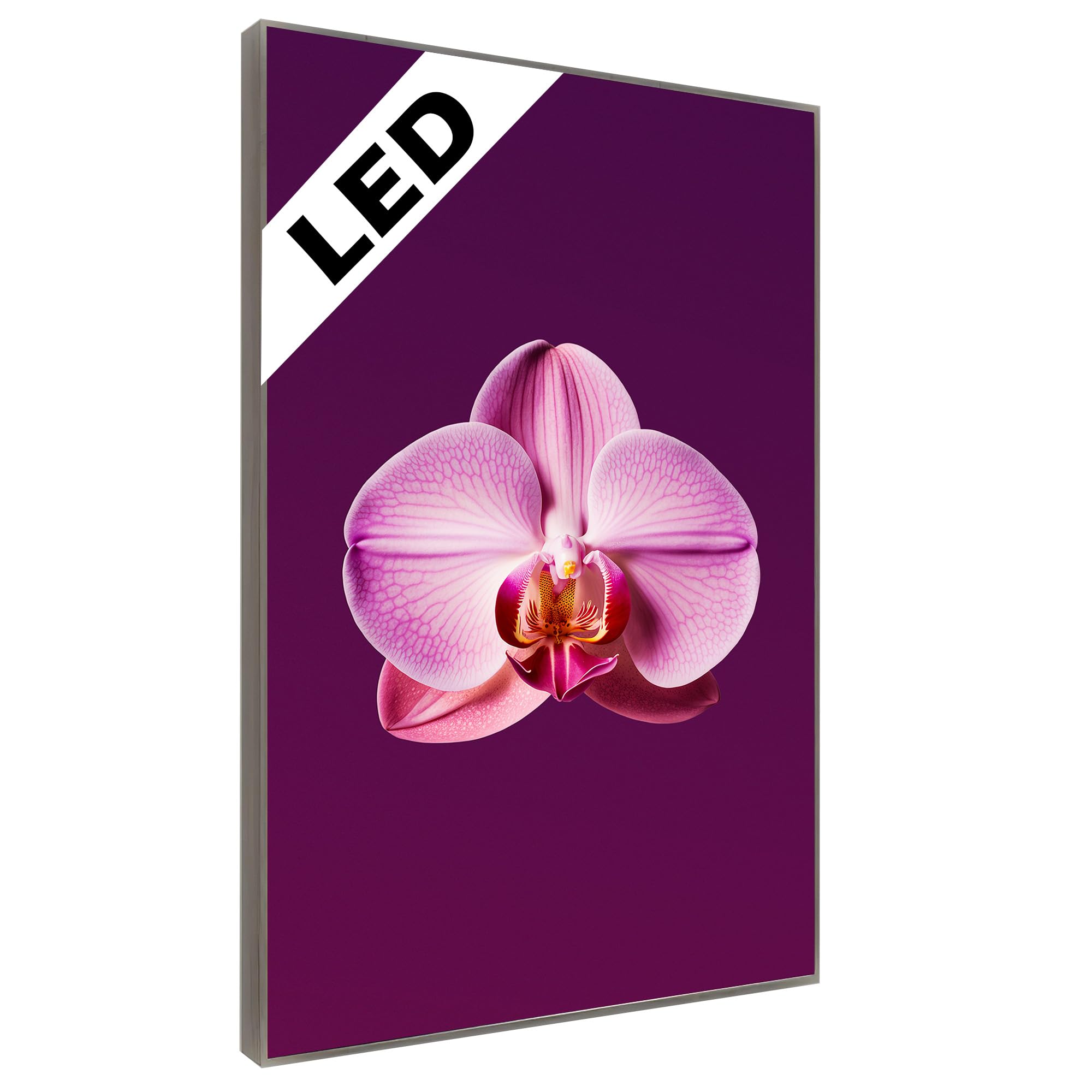 Generisch LED Wandbild Rosa Orchidee – Beleuchtet - Blumen Leuchtbild edel