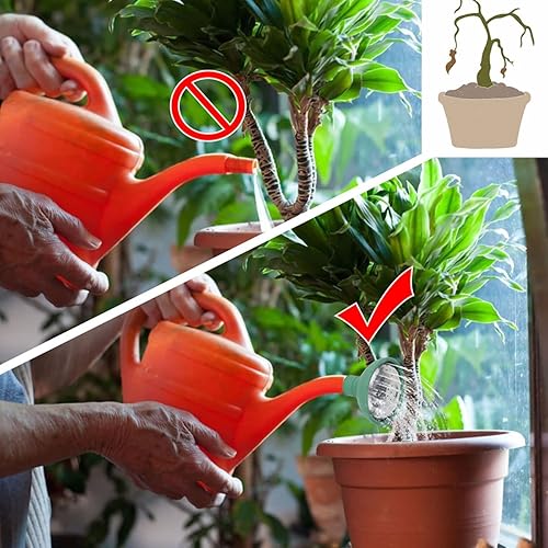 Miniatura 5 de 2 cabezales universales de regadera, regadera de jardín, rociador de agua con cabezal de rosa, apto para todas las regaderas, boquilla de tapa de 2