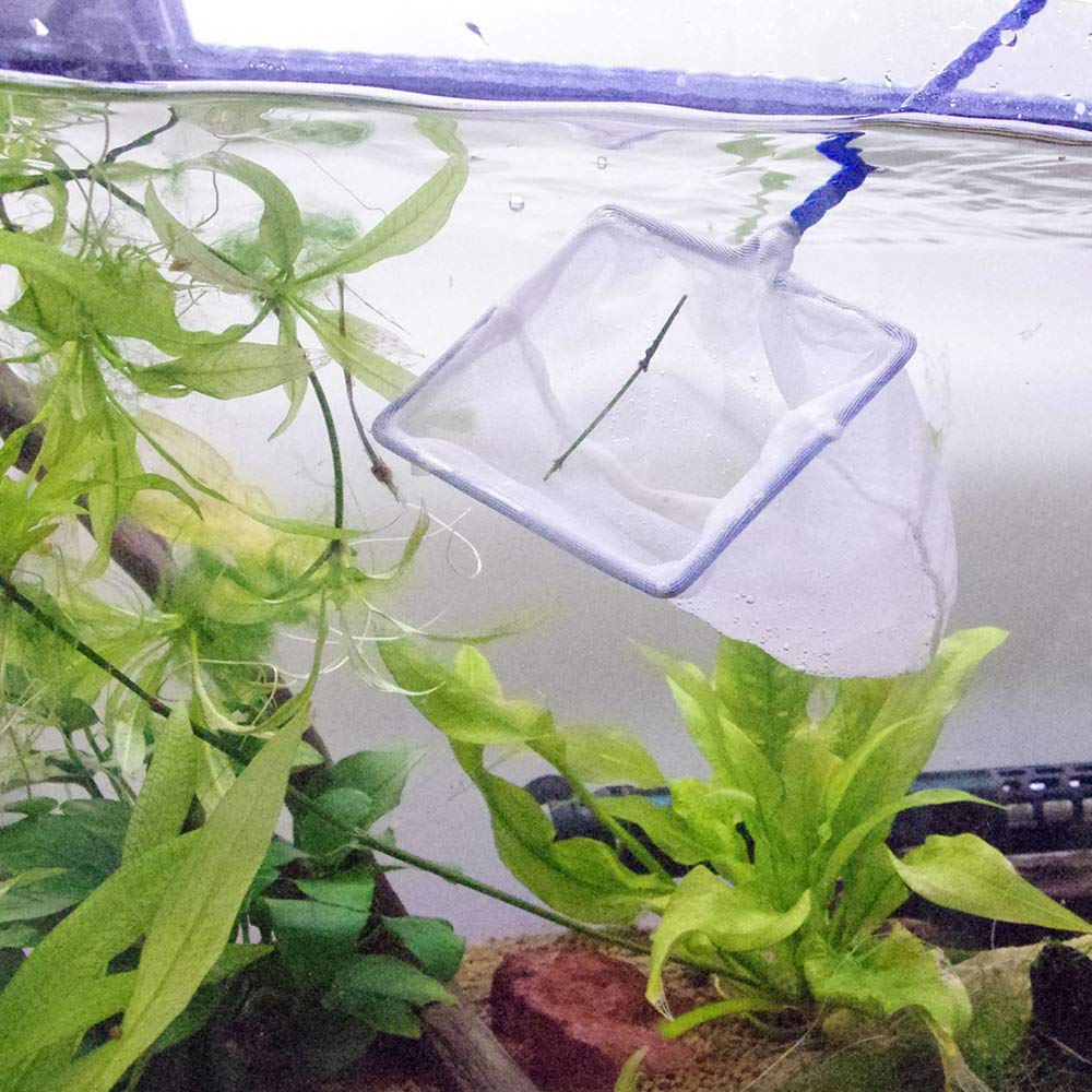 Amazon | ニッソー AQ－16 ネット S | ニッソー | 網・ネット 通販