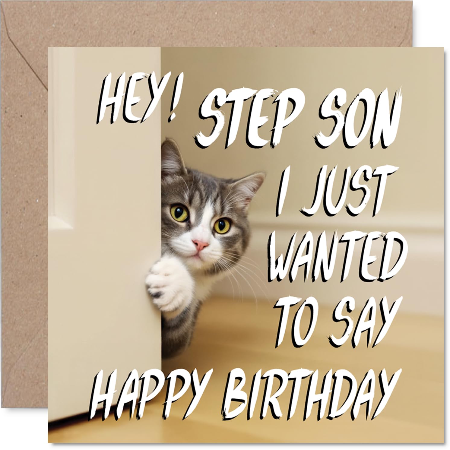 Step Son Birthday Card, Cute Cat Peekaboo