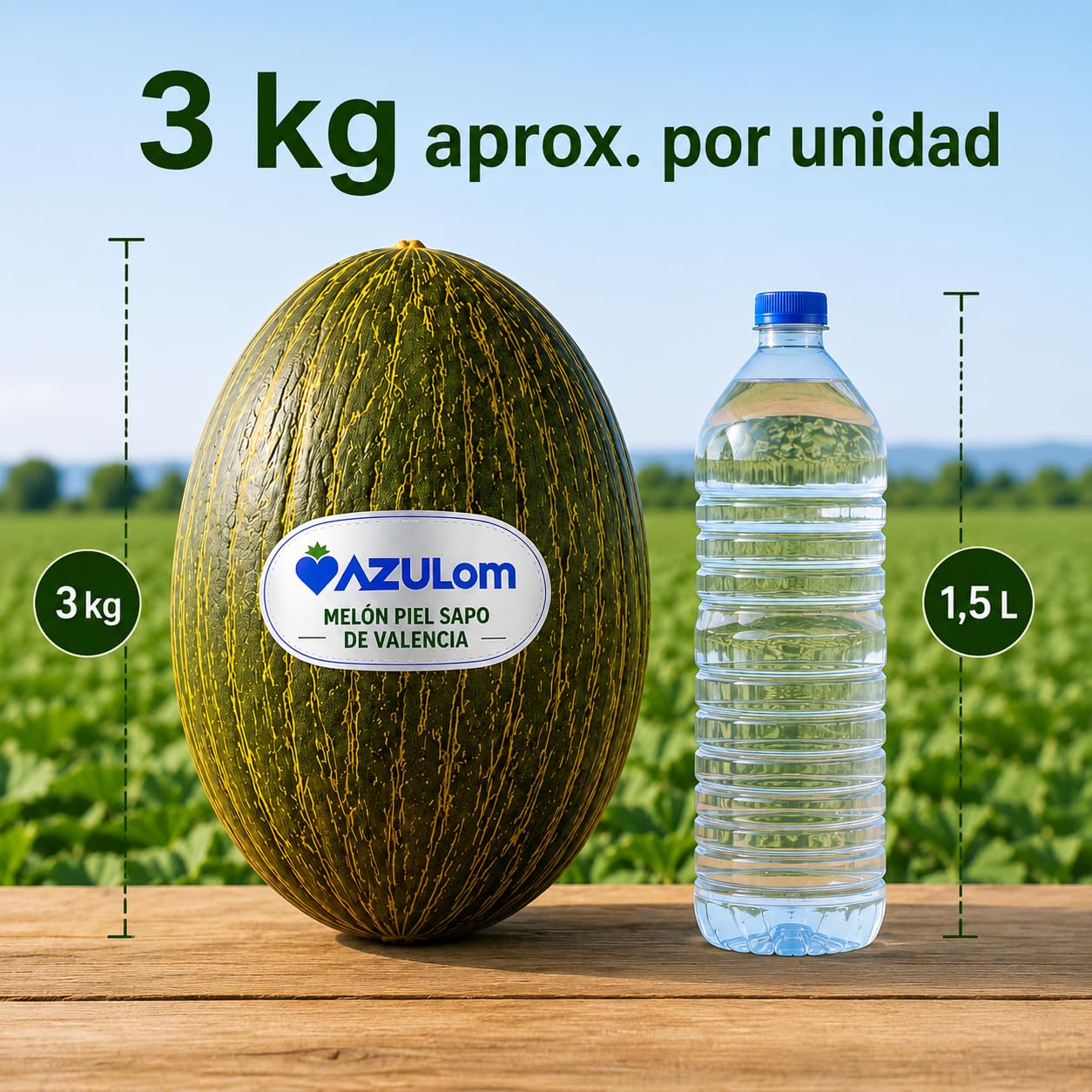 Melón Piel de Sapo Premium de Valencia – Caja 3 Unidades XXL (3 kg aprox. por pieza) – Melón Dulce y Fresco de Origen Español – Fruta Natural Seleccionada