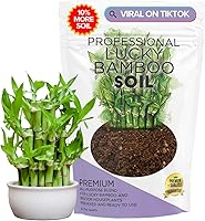 Vista 10 de Tierra para suculentas premium todo uso Gran envase de 2.2 cuartos Premezclada lista para usar para cactus y suculentas Turba canadiense