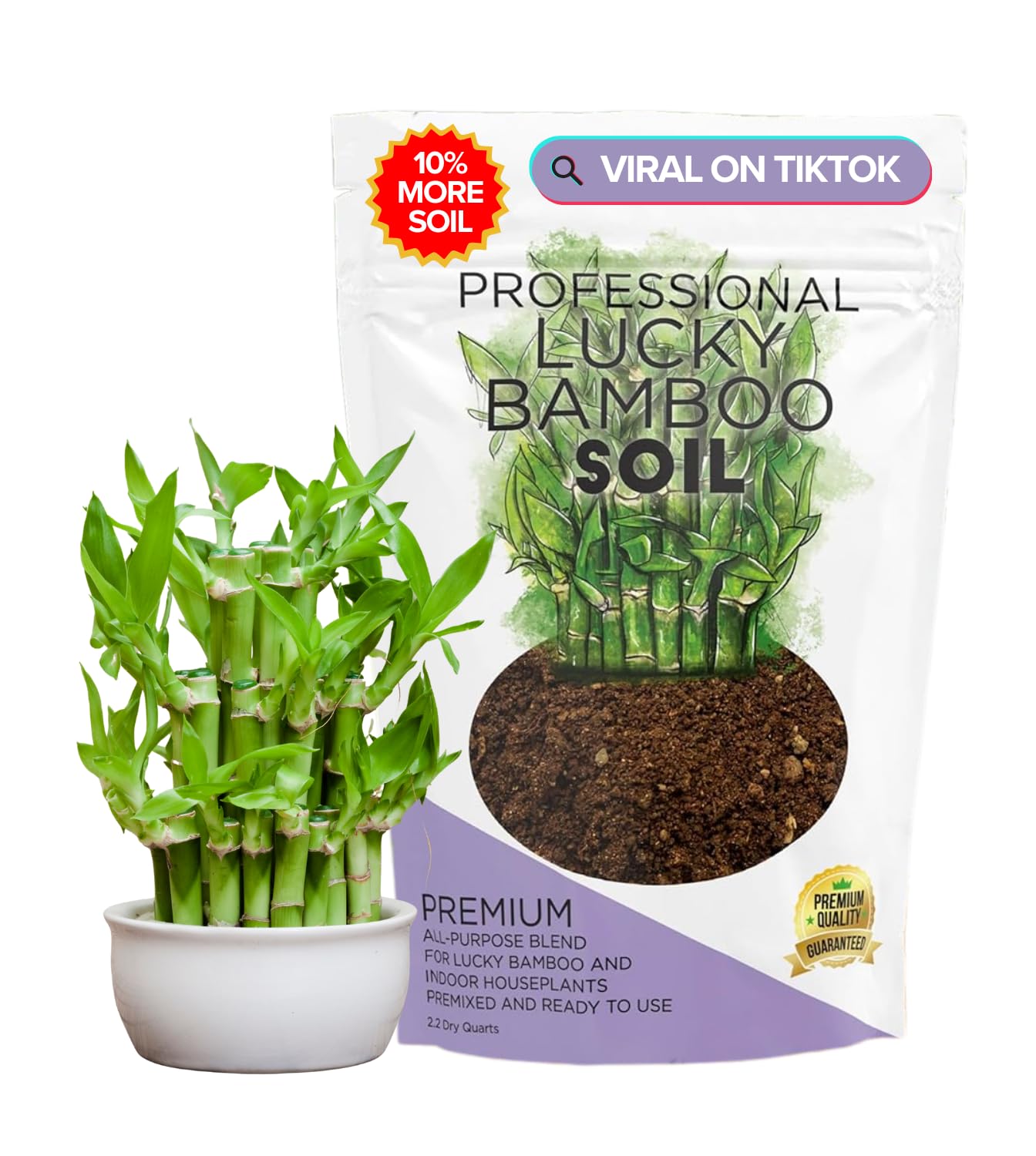 buy philodendron painted lady Philodendron Painted Lady  Greenspaces.id