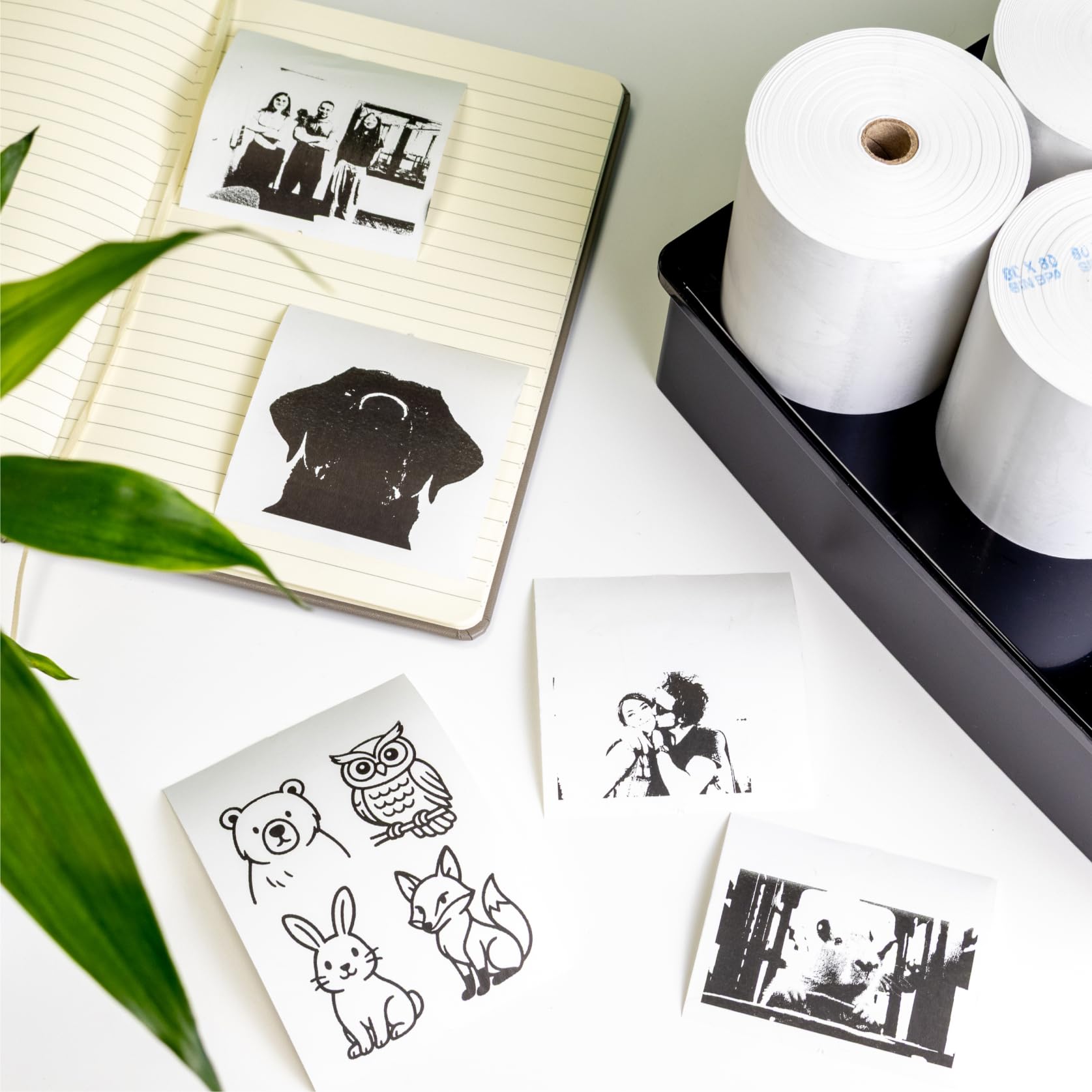 Raylu Paper - Rollos Papel Térmico premium 80mm para TPV, sumadoras, impresoras térmicas, cajas registradoras, mandril: 12 mm, color blanco, Sin Bisphenol (48 Rollos, 80 x 80 mm)