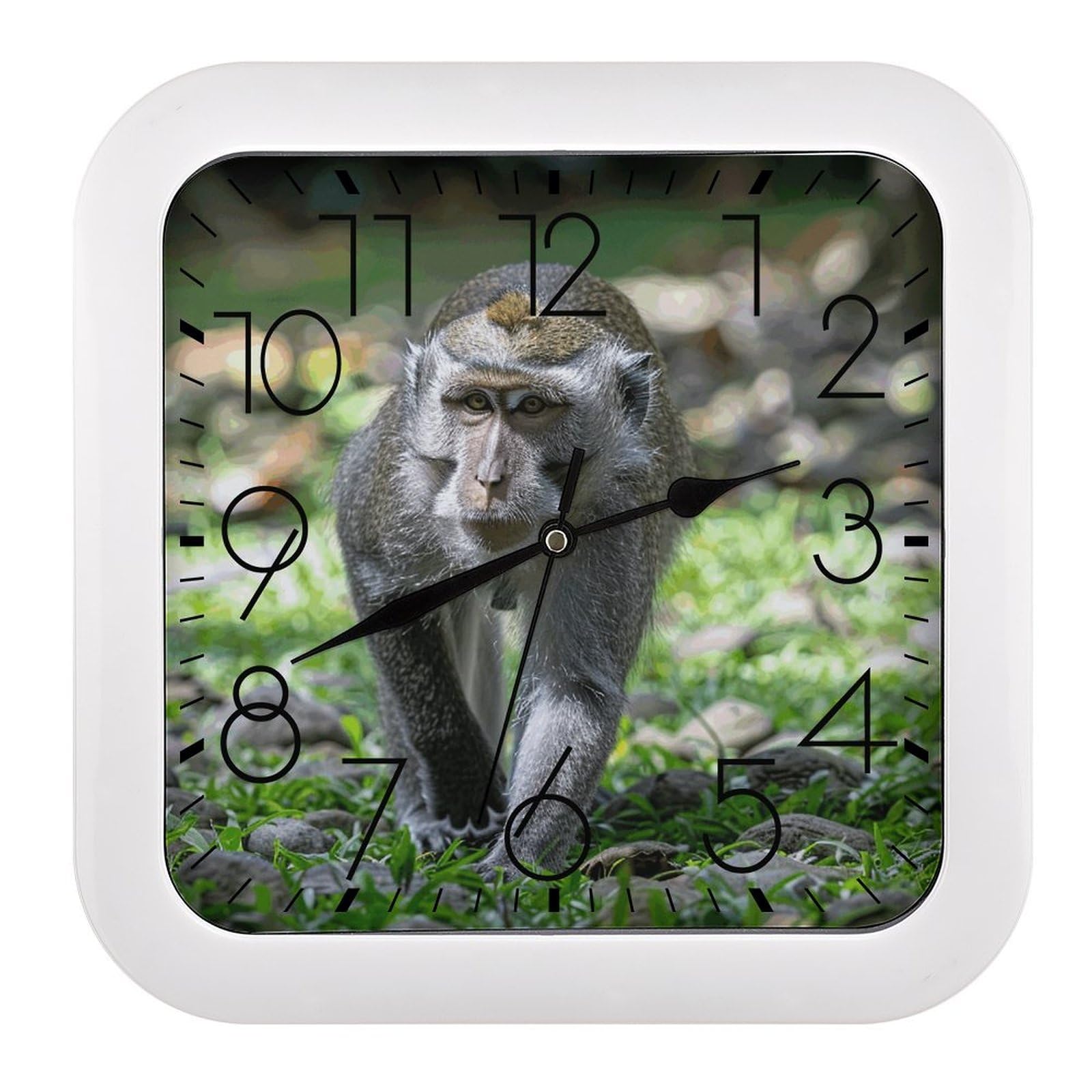 Horloge décorative pour la maison motif herbe carrée décoration cuisine