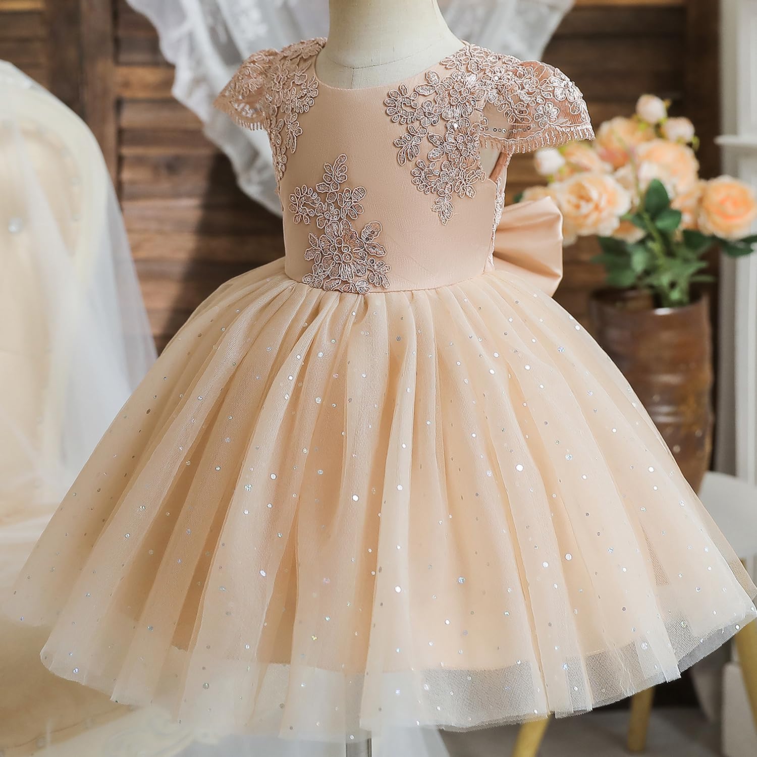 TTYAOVO Flowre Baby Girl Dress Birthday Party Princess Gown
