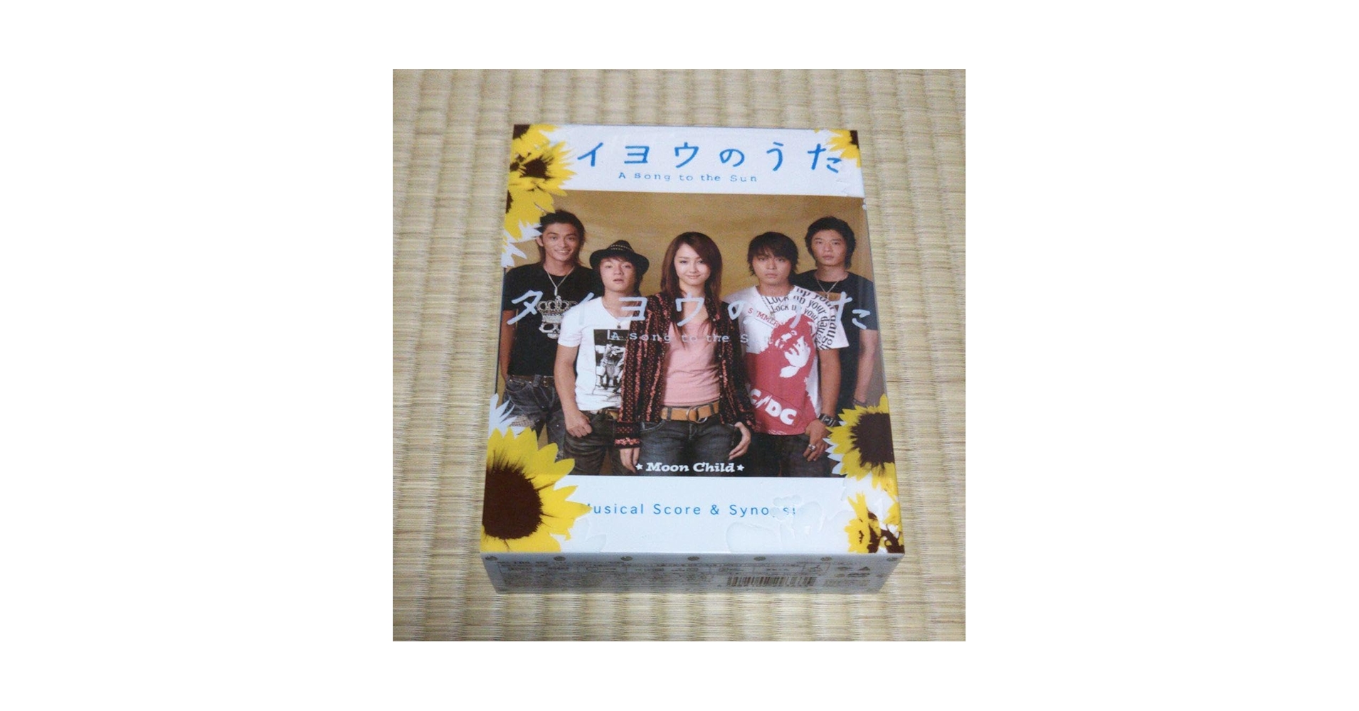 Amazon.co.jp: タイヨウのうた DVD-BOX〈6枚組〉 山田孝之 沢尻エリカ