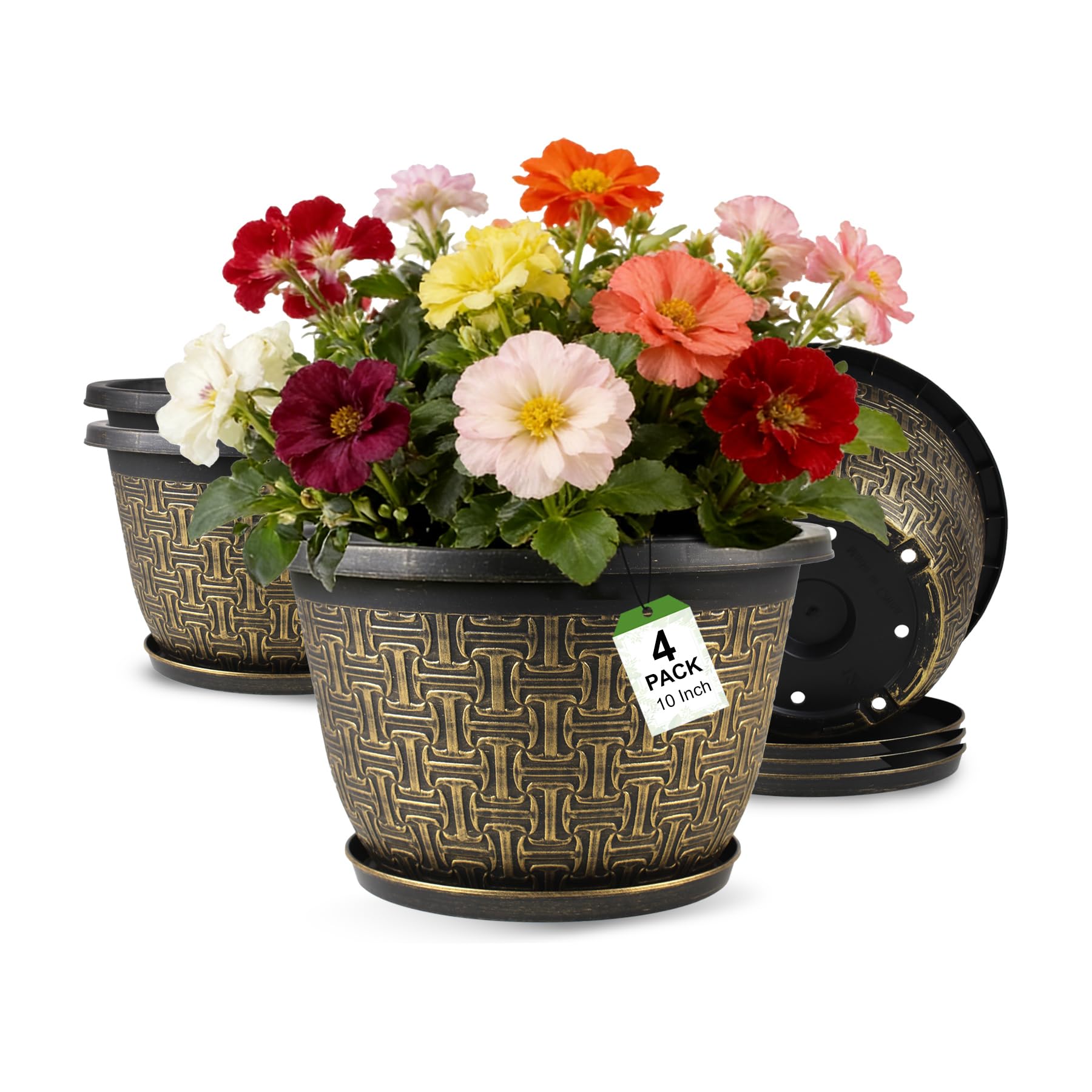 Nooulap 10 Inch Gold Pots