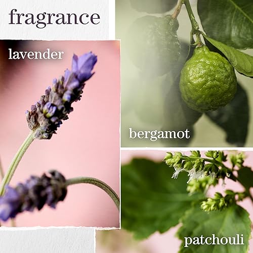 Miniatura 6 de Pureology Hydrate Moisturizing Shampoo  For Medium to Thick Dry Color Treated Hair Sulfate-Free  Vegan