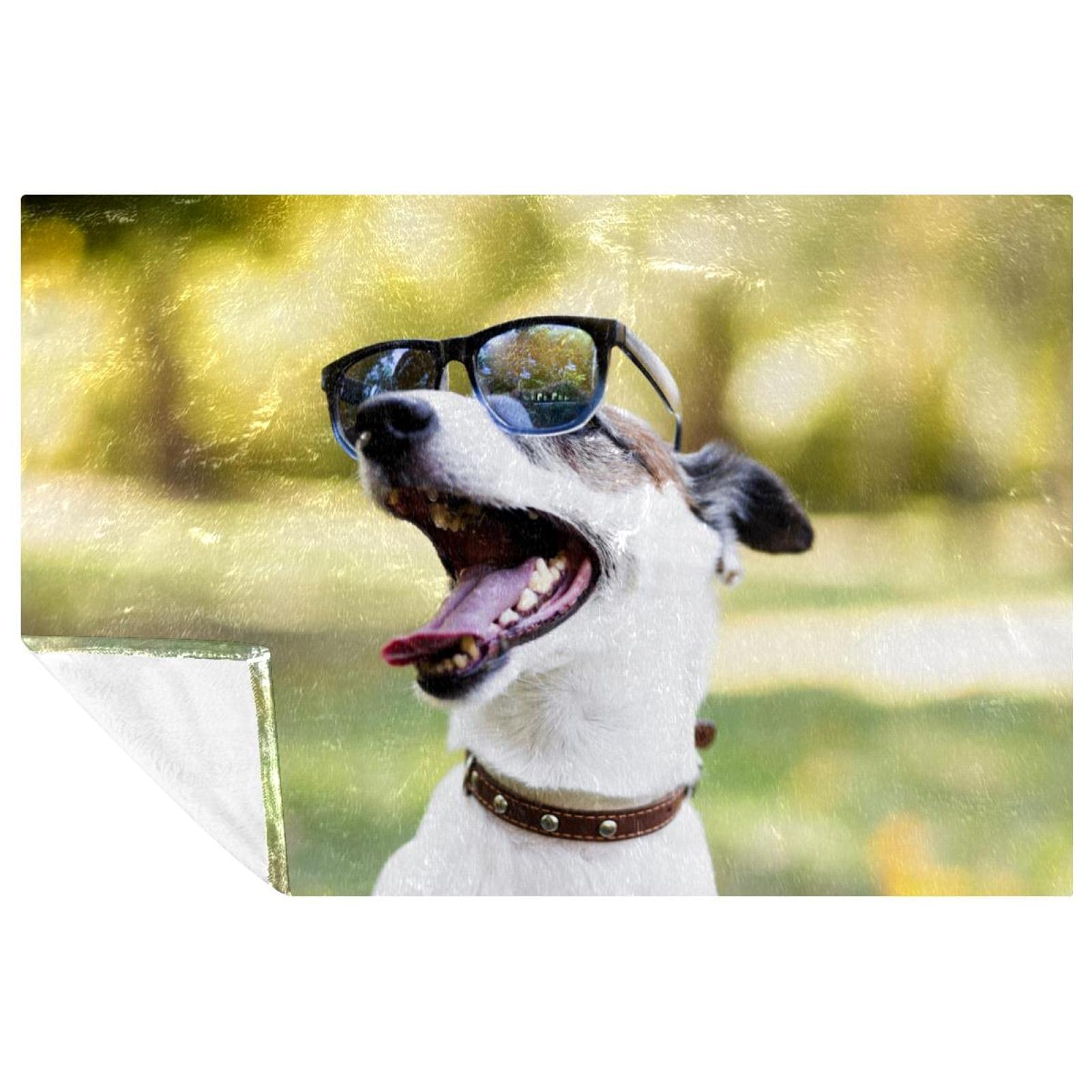 Couverture chaude imprimé chien pour pique-nique camping et plage
