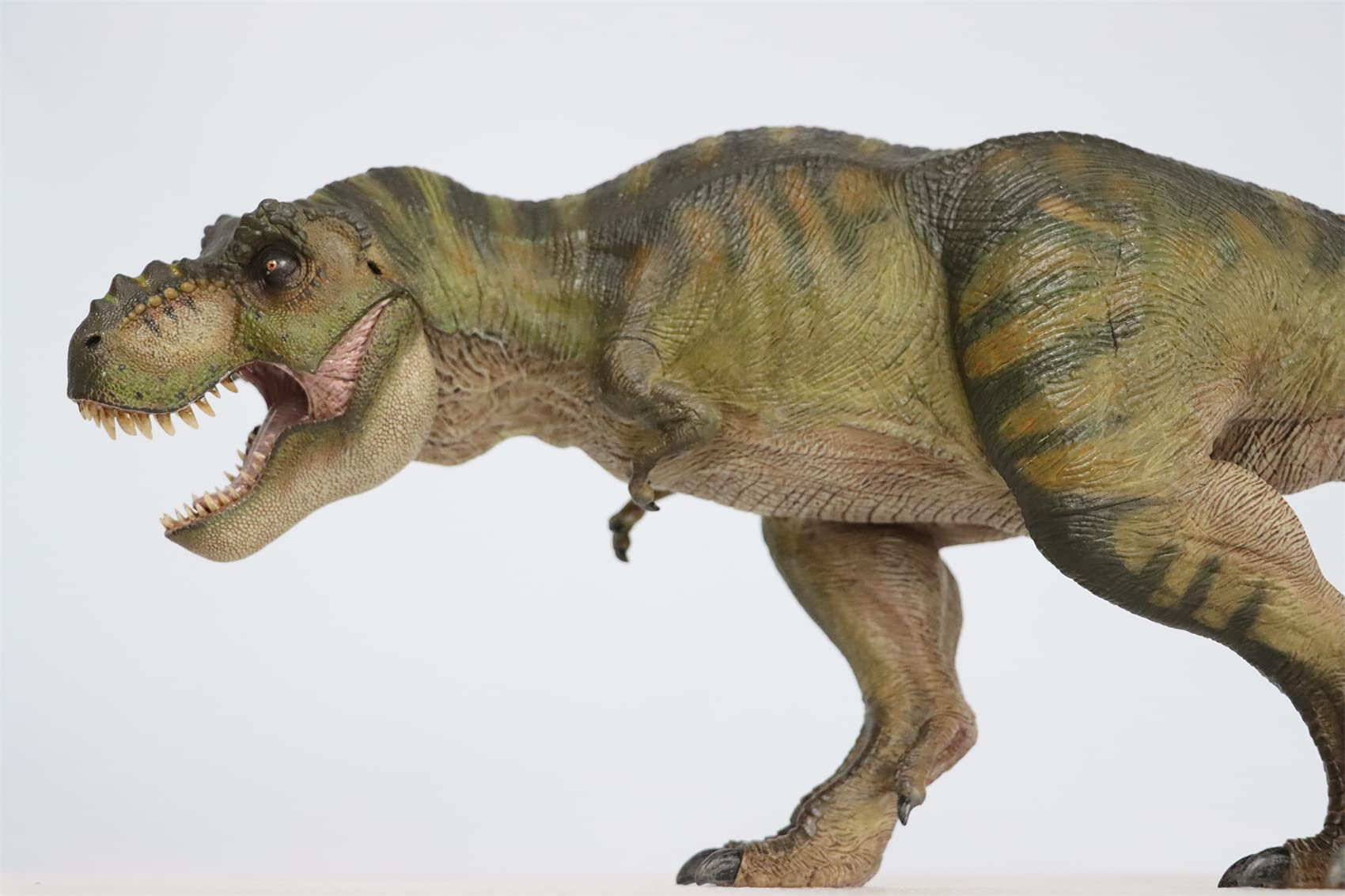 Amazon.co.jp: Lana Toys Nanmu 1:35スケール ティラノサウルス