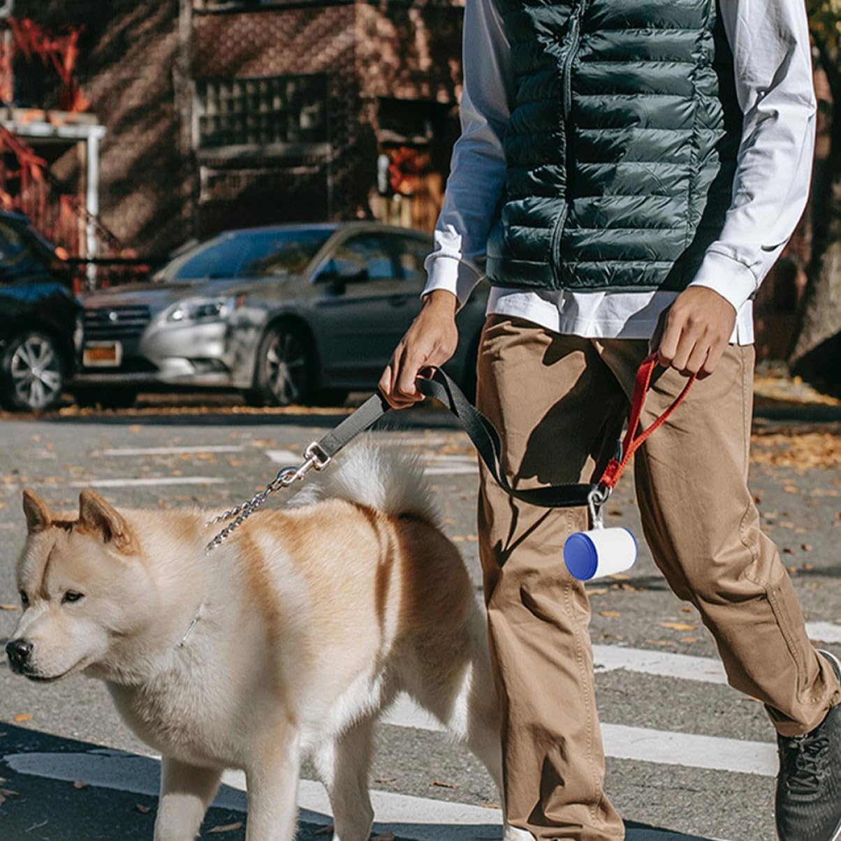 Didiseaon 6pcs Portable Dog Training Treat Storage Bag Lightweight Holder for Outdoor Use Stylish Design for Dog Walking and Training and Convenient