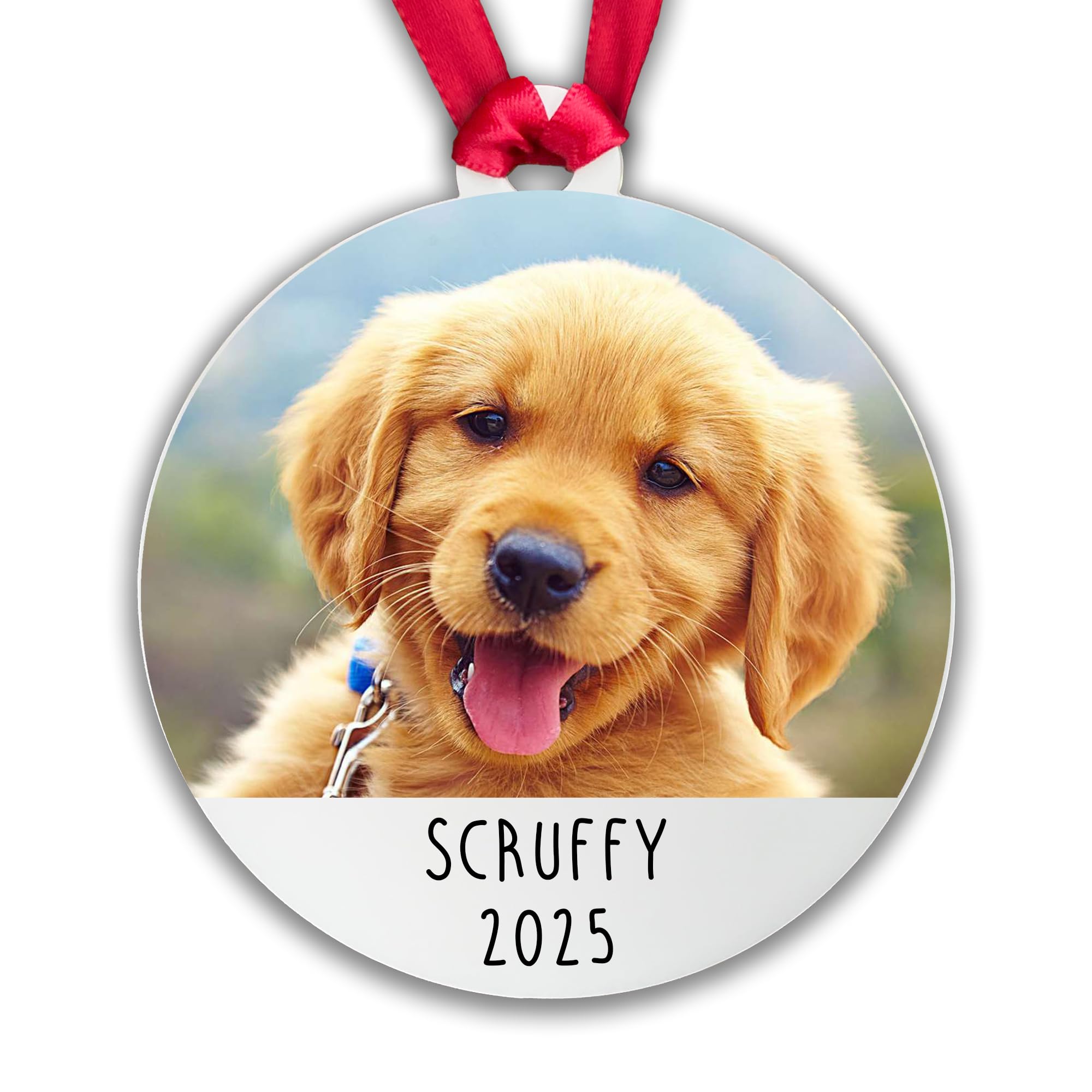 Personalised Dog Photo Bauble Tree Decoration - Add any name and year