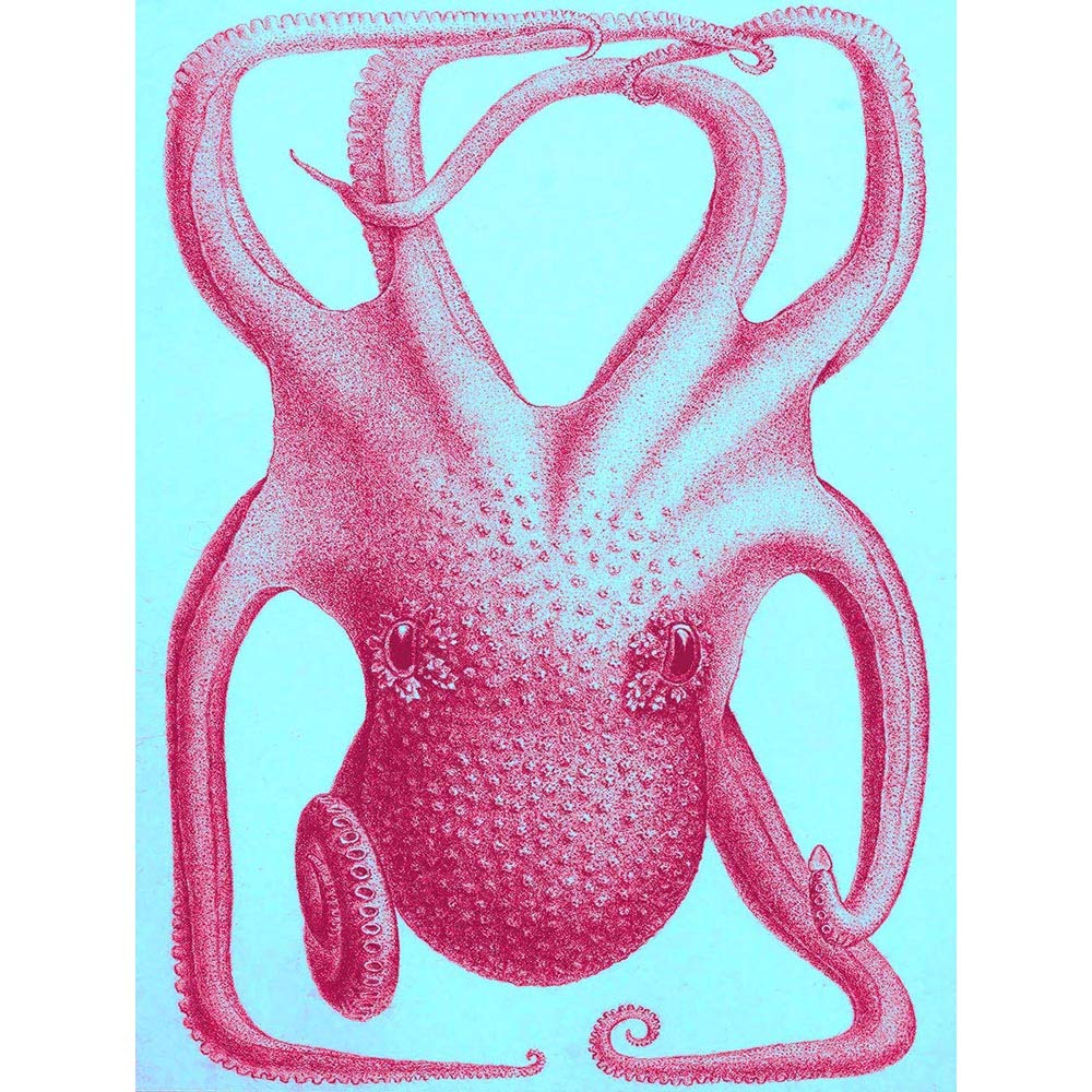 Wee Blue Coo Pink Octopus Illustration Art Print Poster Wall Decor 12X16 Inch