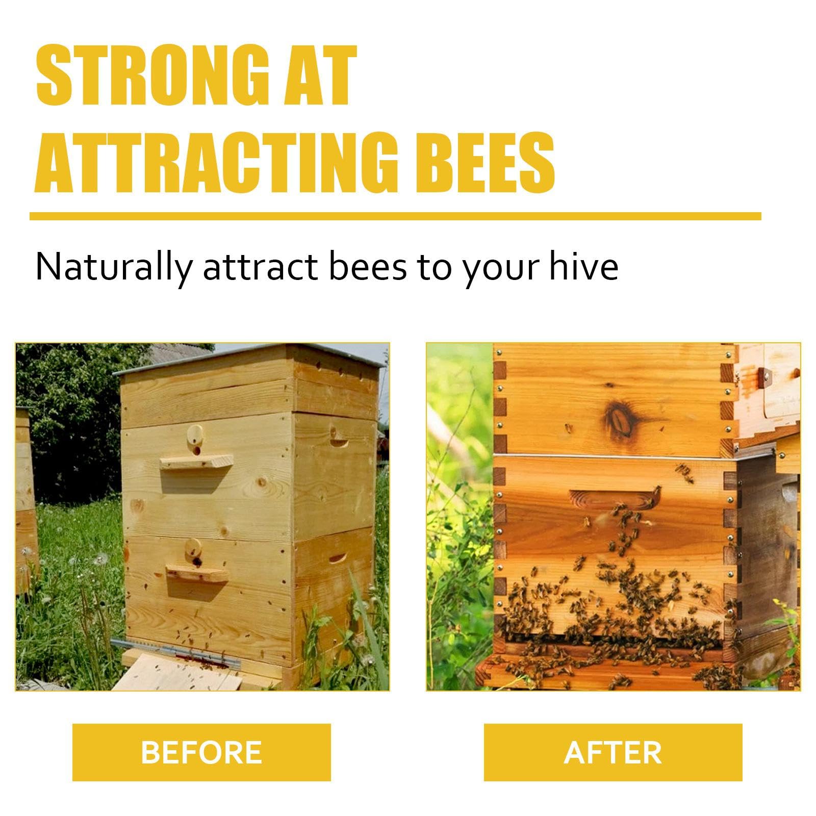 Swarm Lure 1 Bottle 60ml Beekeeper Beekeeping Tool - Image 5 thumbnail