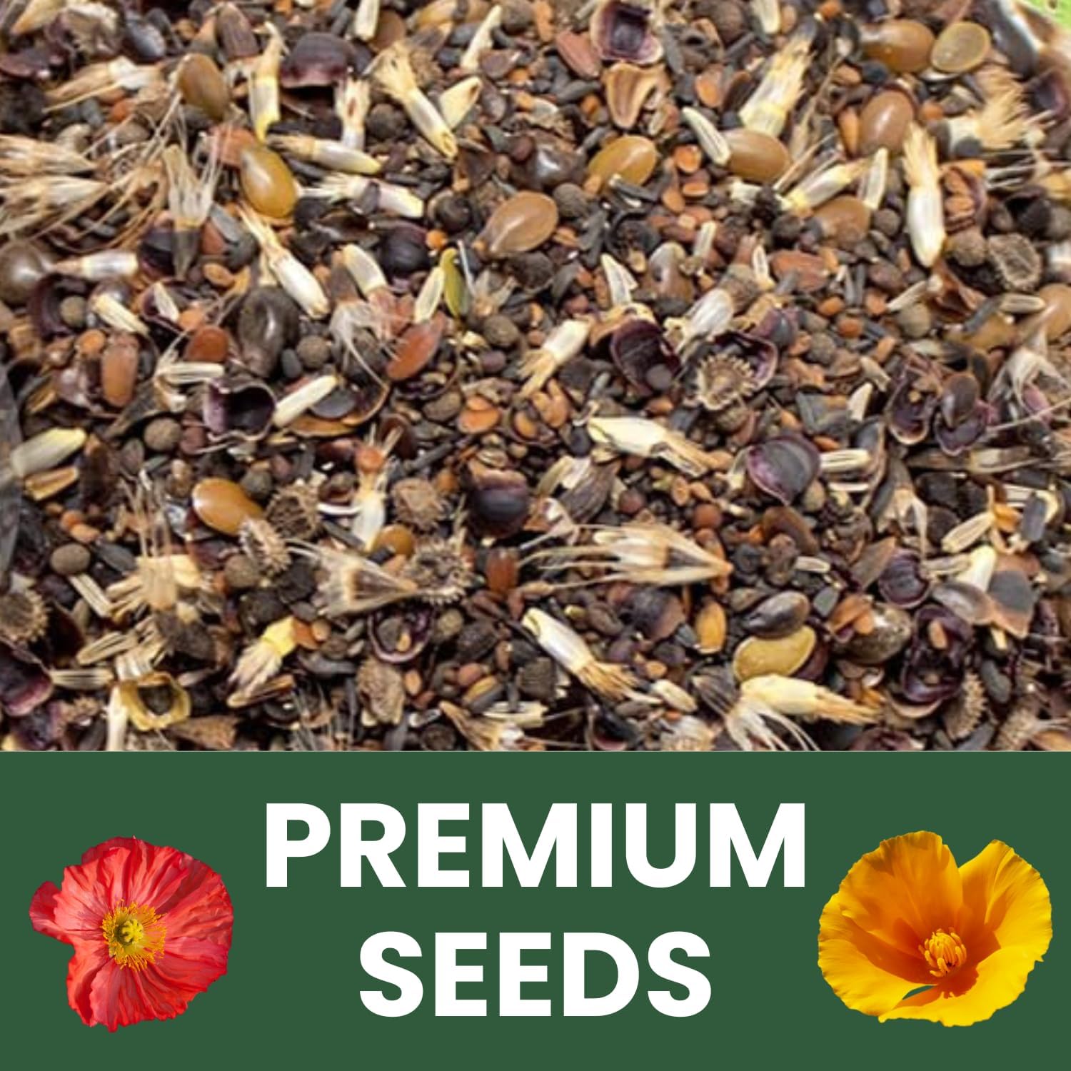 California Regional Mix – 79,000 Seeds for Planting – 2026 Season – 4 Ounce Pouch