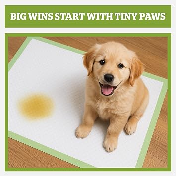 Pogi's Dog Training Pads with Sticky Tabs – Eco-Friendly, Odour Blocking & Super Absorbent – 50-Pack (60 × 60 cm)