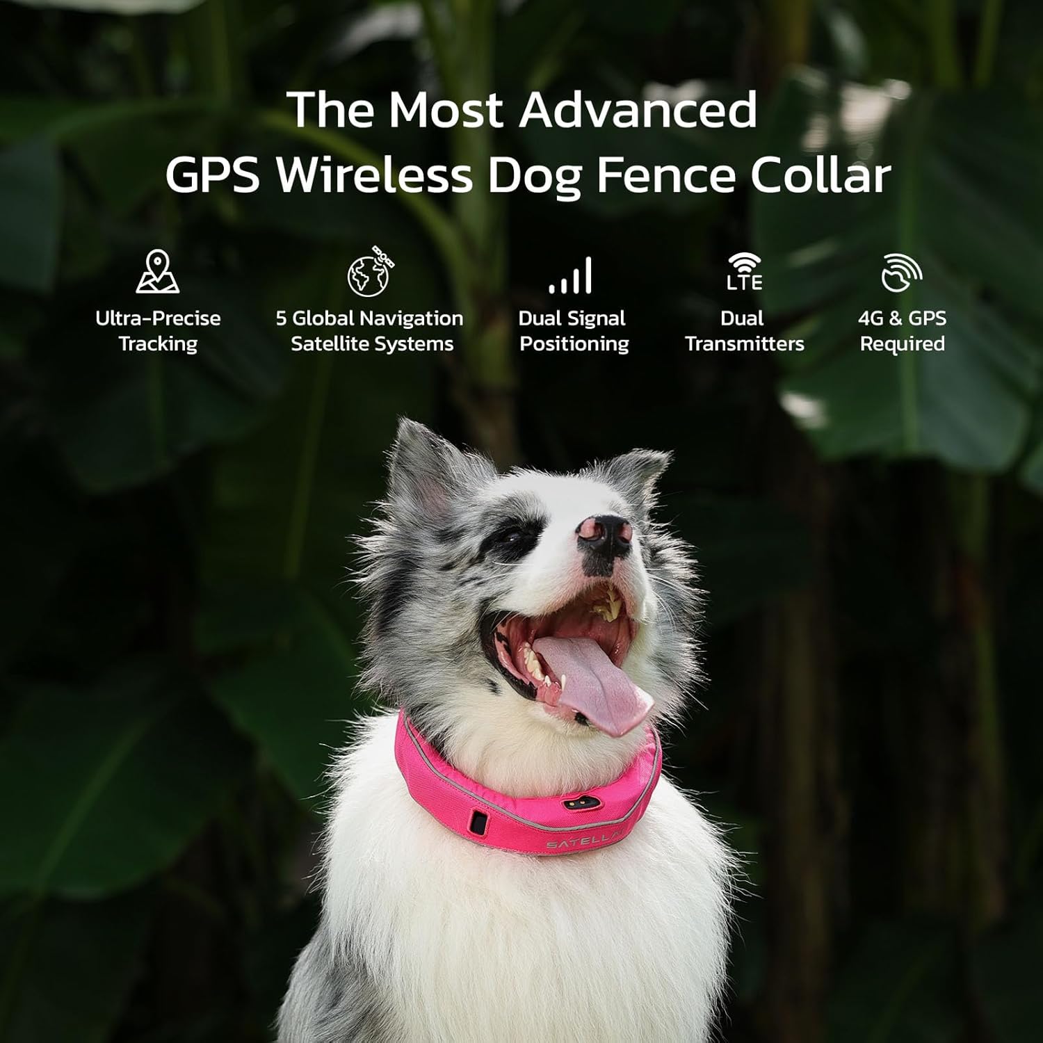 The Ultimate Review of SATELLAI GPS Dog Collar: A Game Changer for Pet Safety!