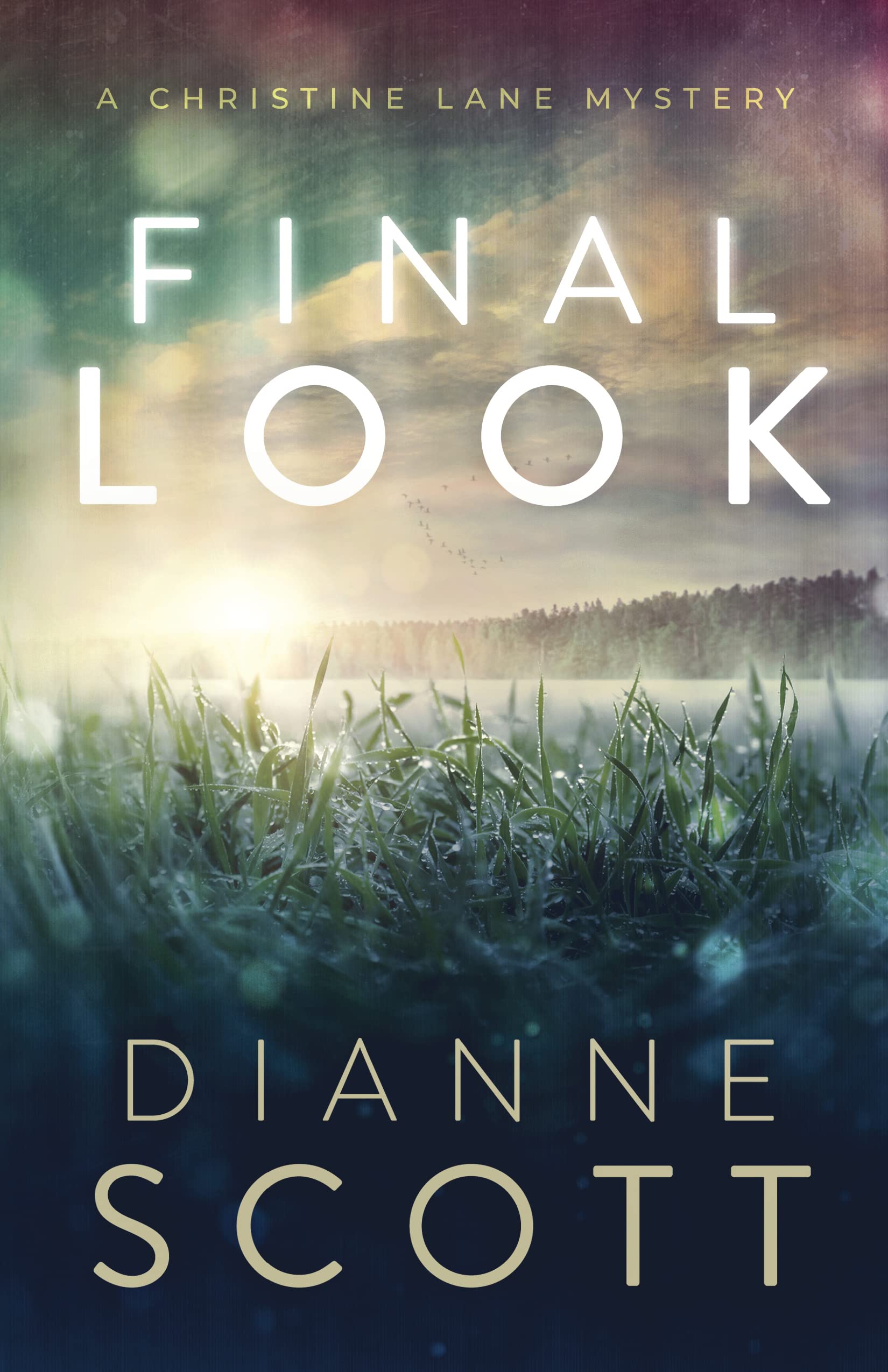 Final Look (A Christine Lane Mystery Book 1)