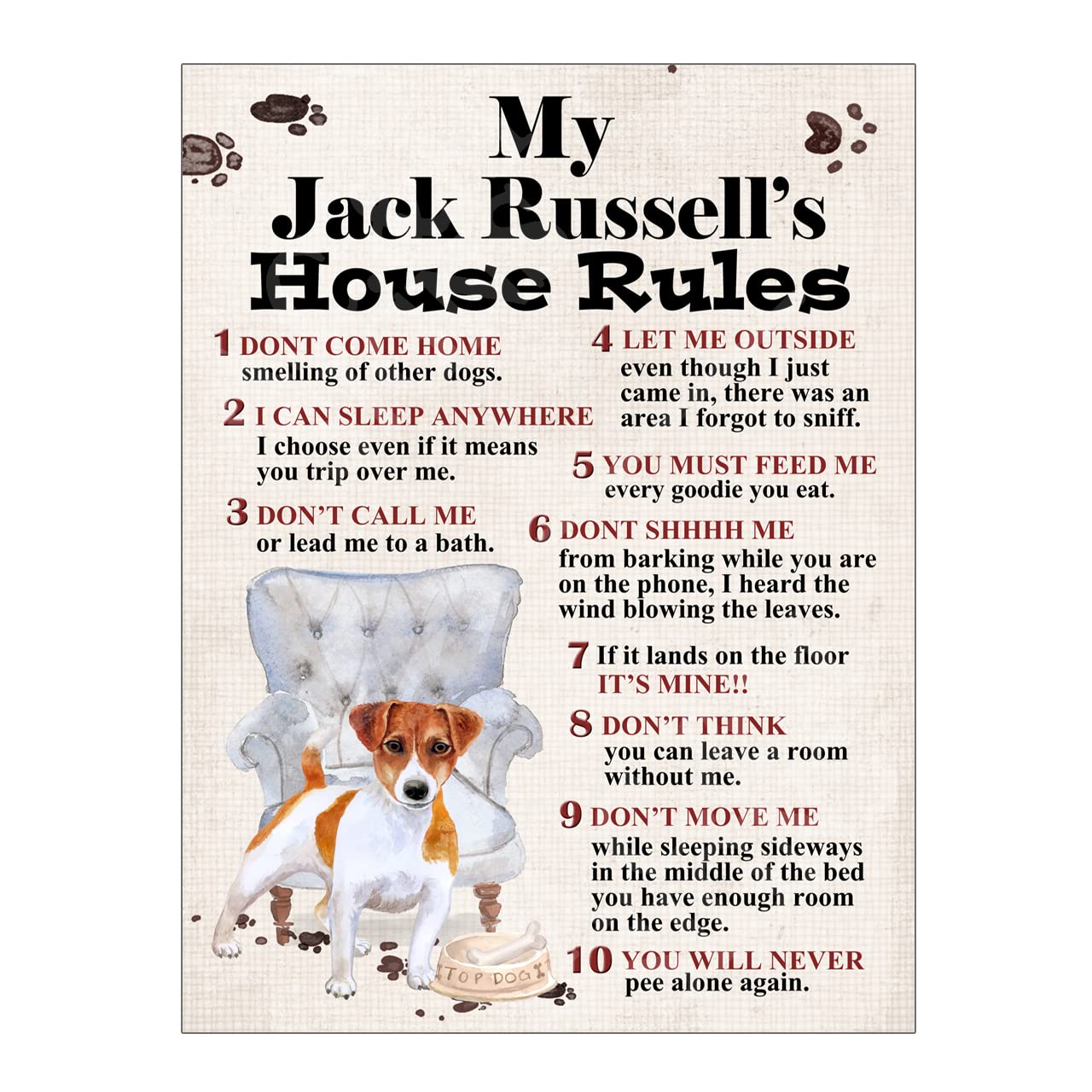 Metal Tin Sign Dog Plaque Dog's House Rules Garden Bar Home Decor Garage Man Cave Poster Pet Gift Dog Lovers (Jack Russell 10x8 Ref8331) — image 1