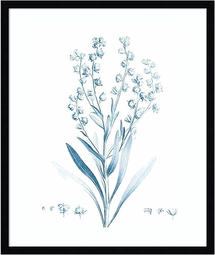 Miniatura 17 de Amanti Art Vision Studio - Lienzo decorativo para pared, 24 x 20 pulgadas, botánico antiguo en azul I por Vision Studio, arte de pared de flores,