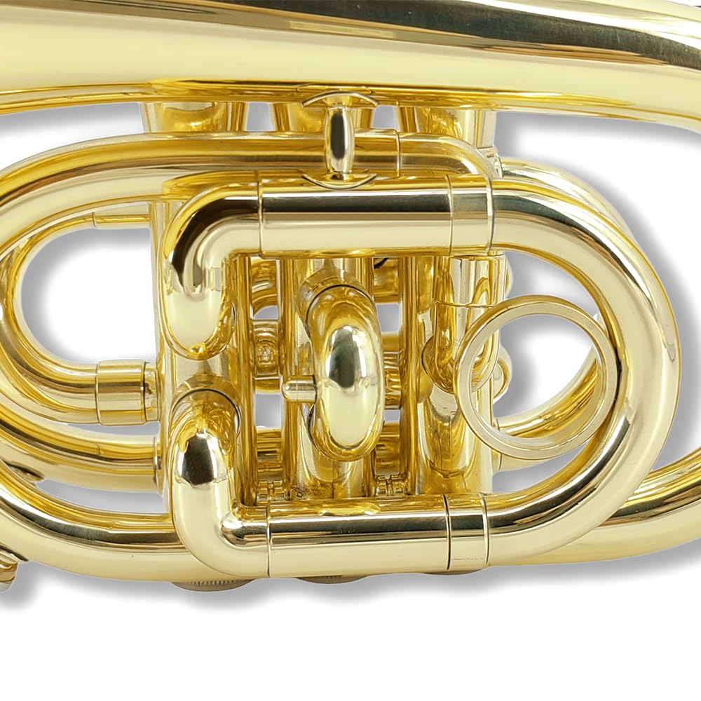 Tromba tascabile professionale in ottone, finitura laccata, con custodia per il trasporto e accessori per la pulizia per principianti e musicisti (oro)