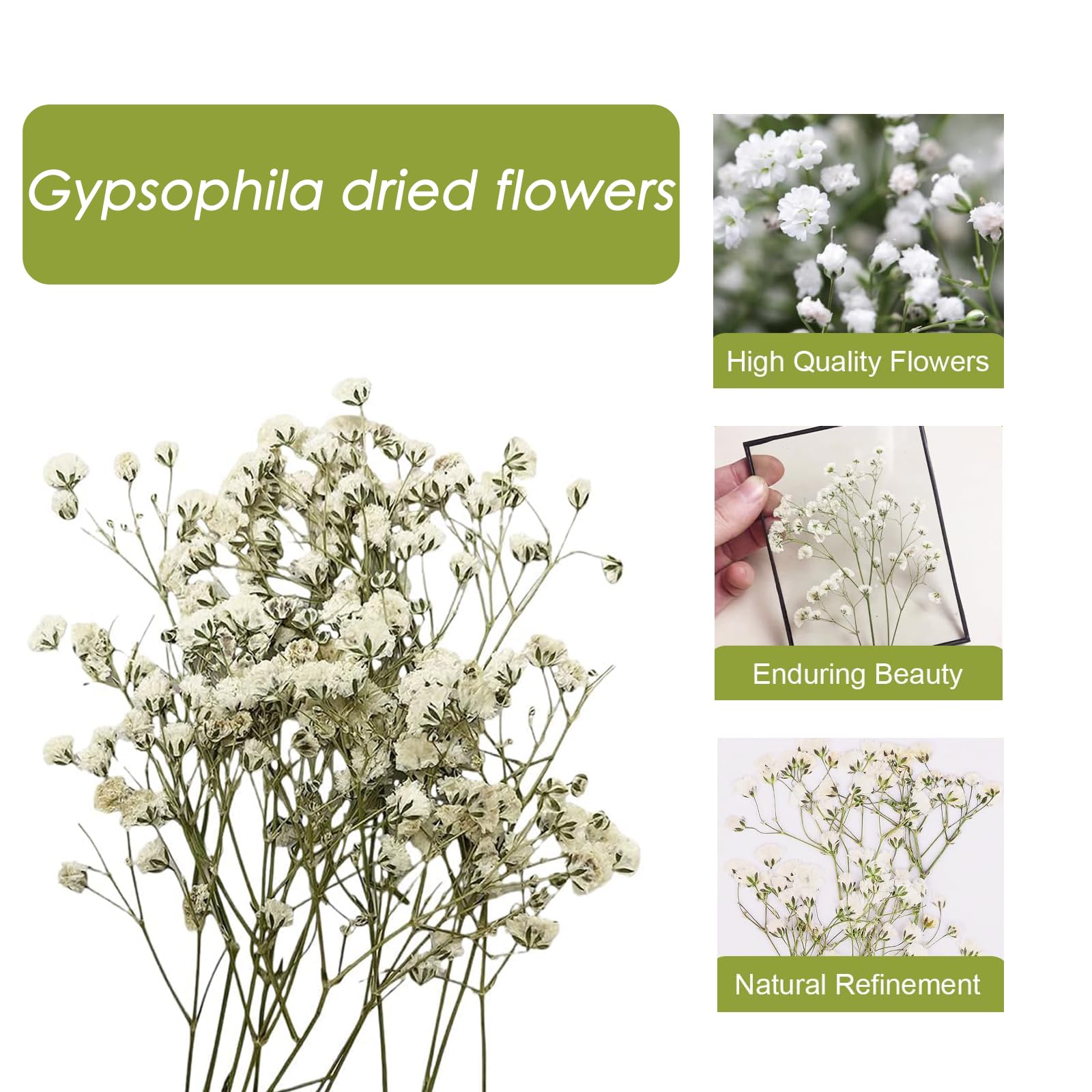 SURALIN Confezione da 50 Gypsophila Bianca Essiccata, Fiori Secchi Decorativi Naturali Fiori Secchi Decorativi Piccoli Creazione di Biglietti di Nozze