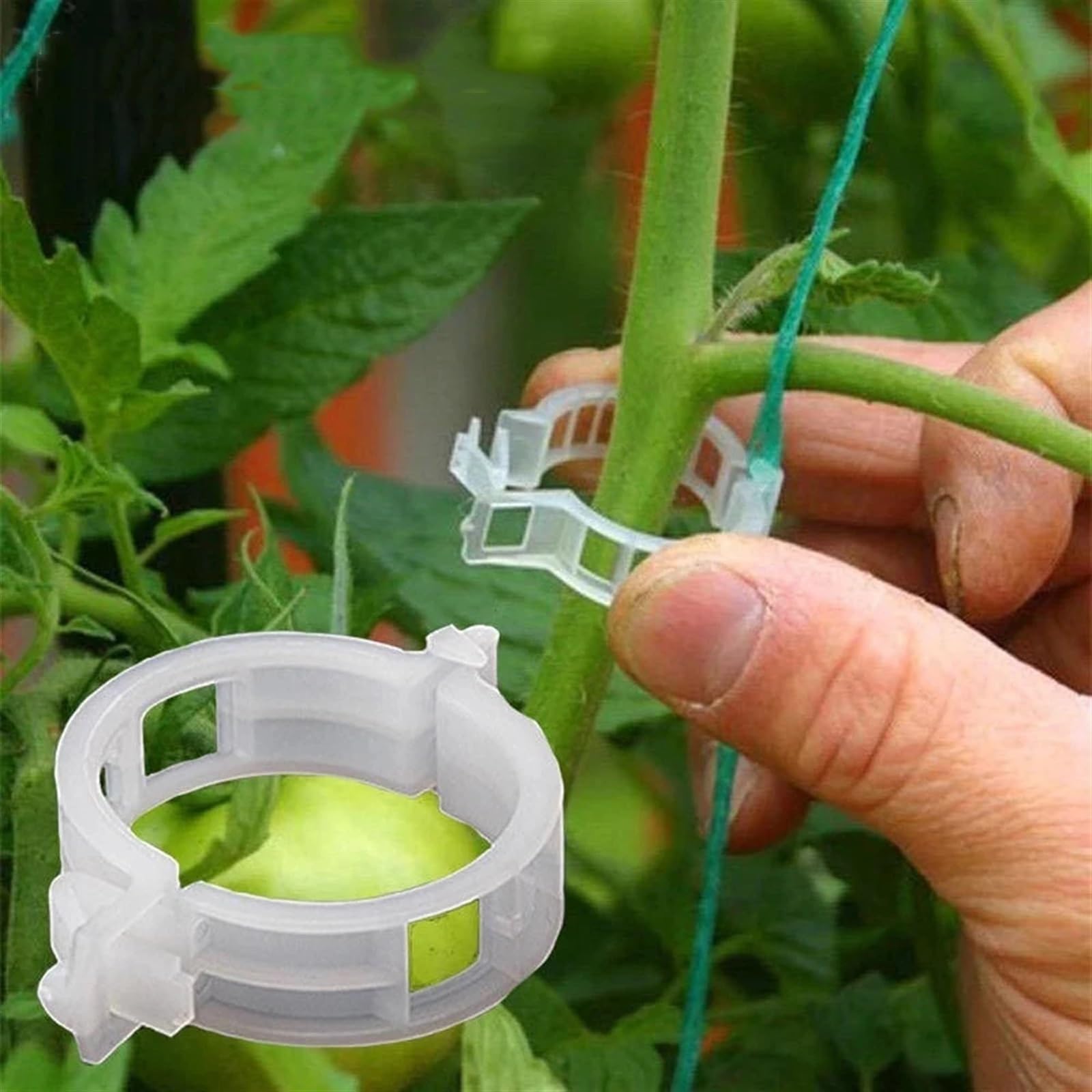 Mollette di sostegno per piante da giardino, Clip for piante in plastica riutilizzabili for innesto ionico, fissaggio 50/100 pezzi for pomodori vegetali(100pcs)
