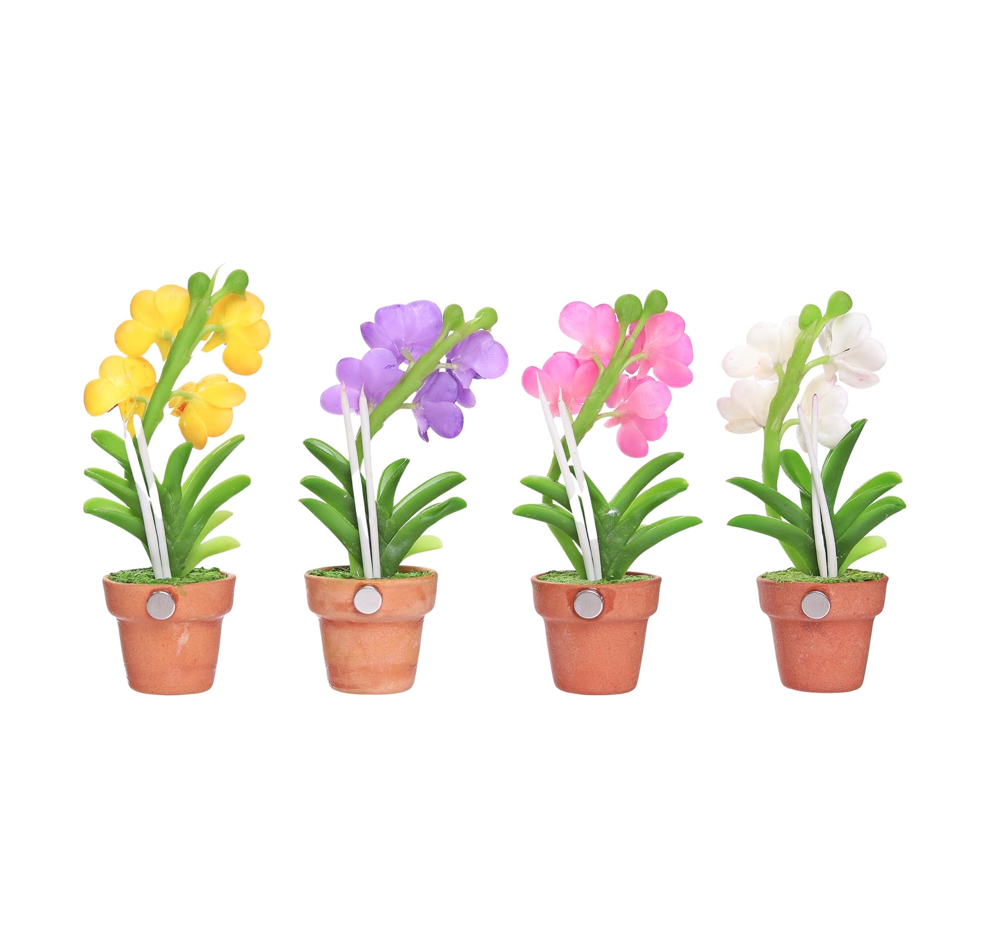 rady マルチボトル　花びら Amazon.com: aBlossom Cute Orchid Refrigerator Magnets for Fridge