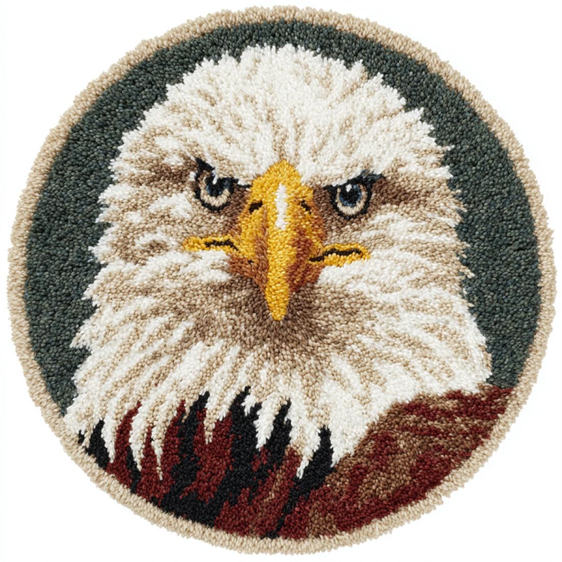 Rqwybcaxn DIY Latch Hook Rug Kit for Beginners Animal Crochet Starter Kit Eagle Portrait 60x60cm Round Pre-Printed Mesh Fabric Carpet Bedroom Home Decor