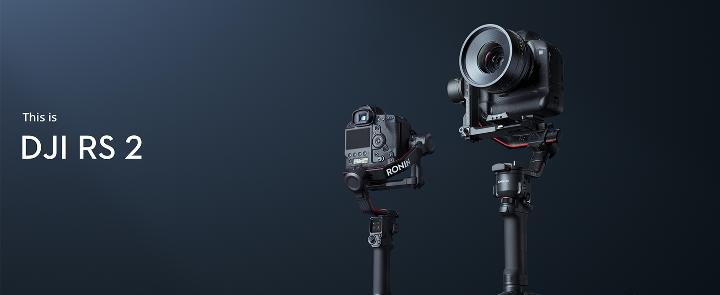 Amazon.com : DJI RS 2-3-Axis Gimbal Stabilizer for DSLR and