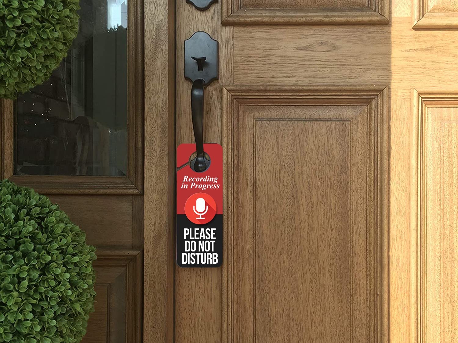 Baby Marley Recording in Progress Do Not Disturb Door Hanger Sign (2), Red and Black, 9.3 x 3.5in