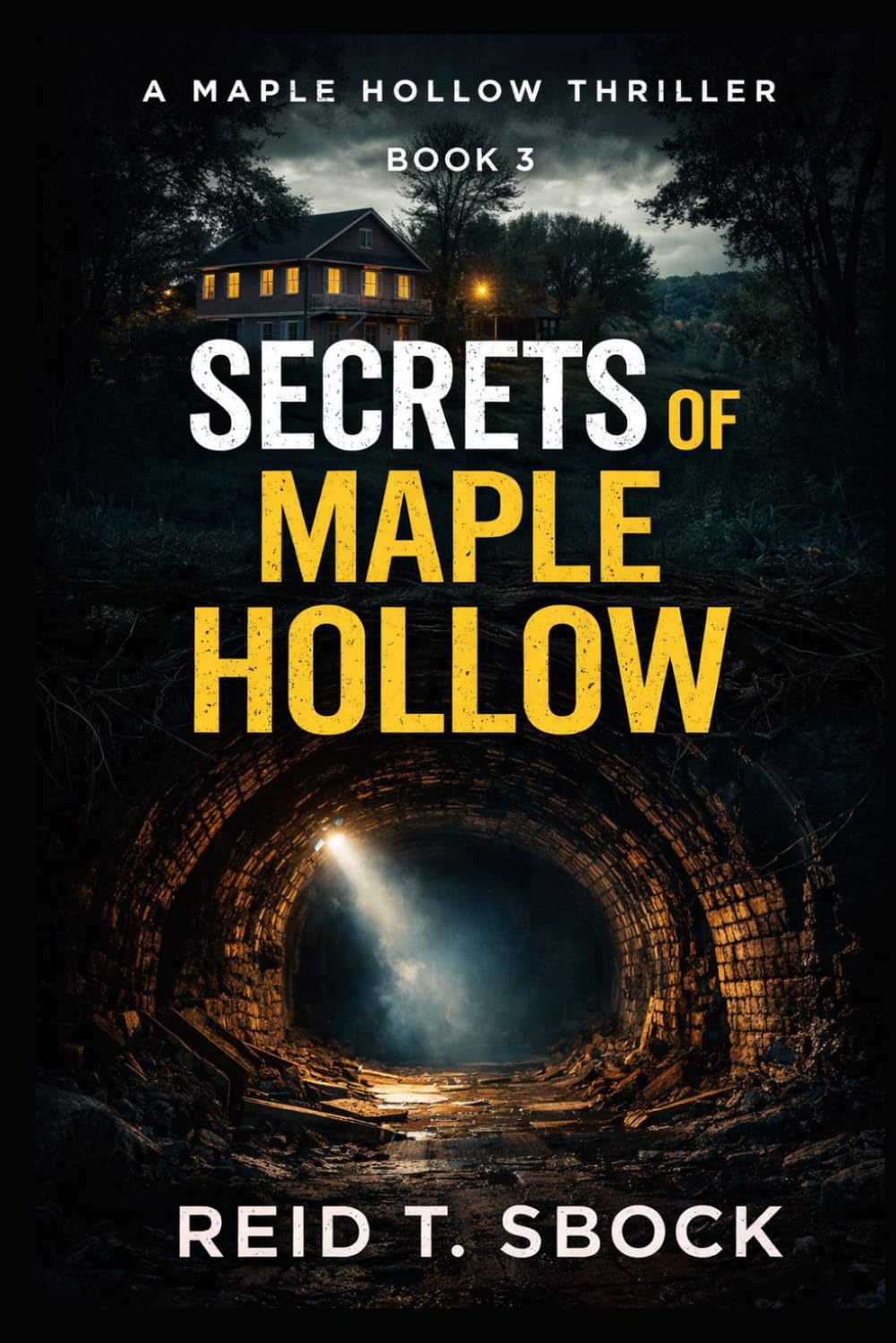 Secrets of Maple Hollow: Book 3: Maple Hollow Series