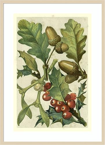 Miniatura 8 de Amanti Art Lienzo decorativo para pared enmarcado de 44 x 32 pulgadas, frutas y follaje II por Vision Studio, arte de pared de naturaleza, Búho