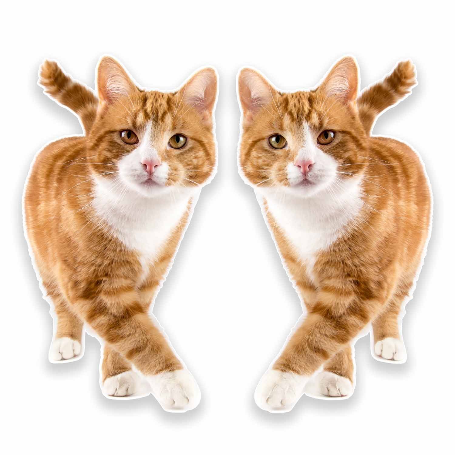 Destinationvinyl Multi 2 X 10Cm Ginger Cat Vinyl Sticker Decal Laptop Tablet Fridge Animal Kitten #9640 (5.5Cm Wide X 10Cm Tall)