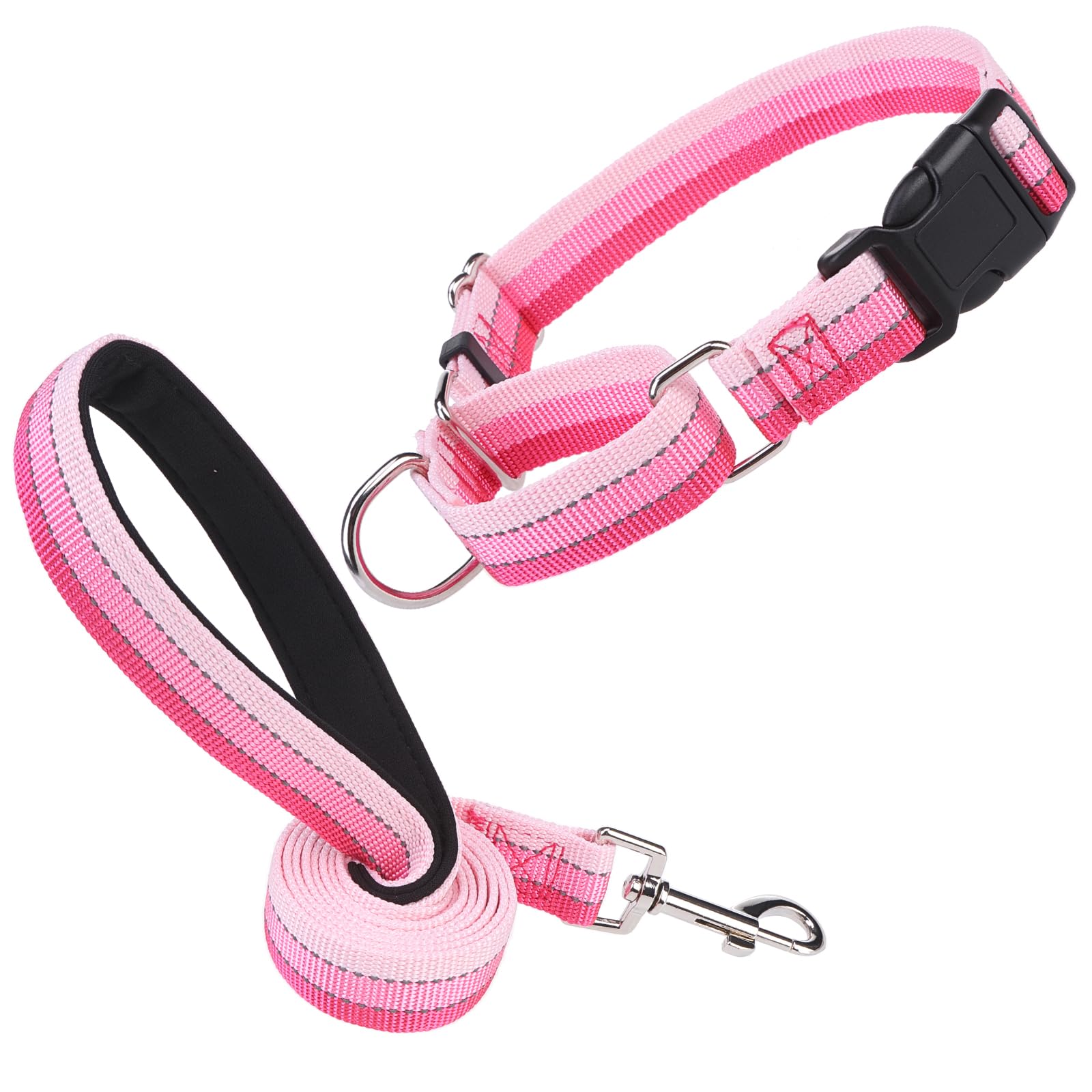 ESGPET Martingale Dog Collar and Leash Set for Walking, Playing, Training, Reflective Adjustable Puppy Collars with Leash for Small Medium Large Dogs