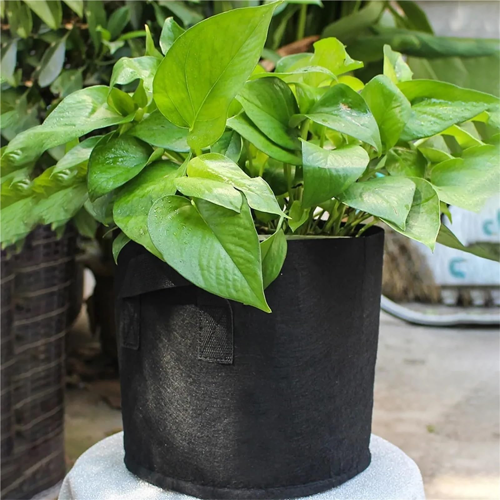 Sac de Culture Plantes 2 pièces, Sac Pliable en Gallon Noir-adapté à la Plantation Fleurs et fraîches pour Plantes