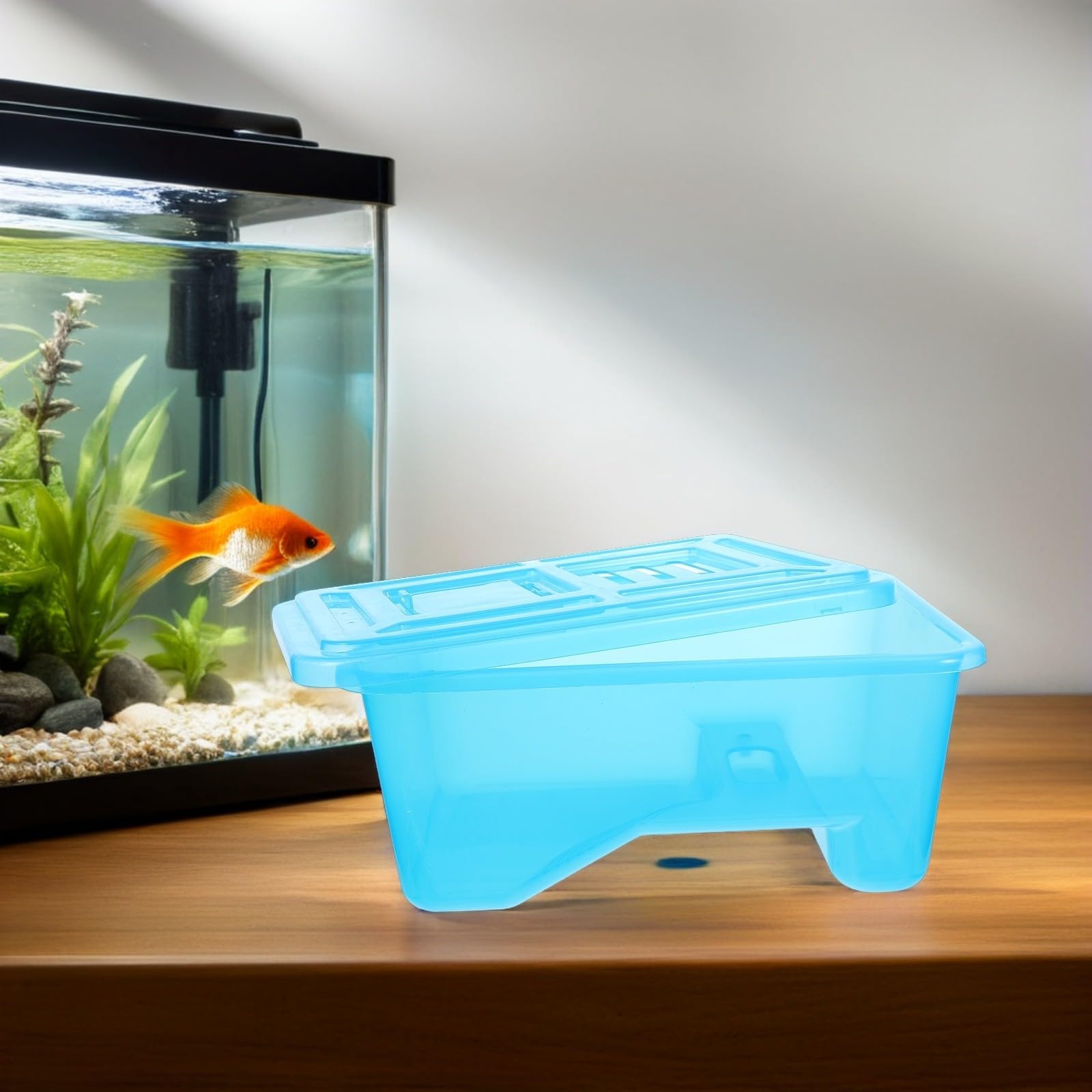 Lurrose Terrario Che Separa Acqua e Zona Asciutta in ABS per Tartarughe con Piattaforma Solare Rimovibile e Base Allargata, Design Trasparente per Spazi Piccoli e Davanzali